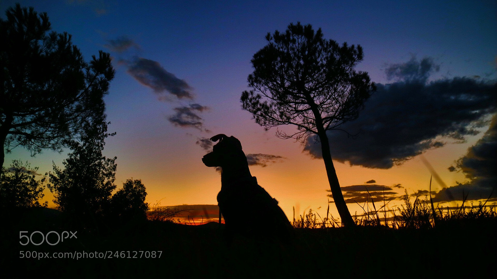 Canon EOS M3 sample photo. -atardecer colorido-. photography