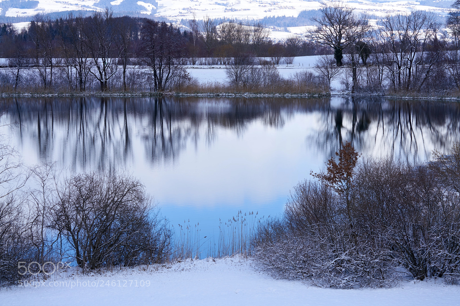 Sony a7R III sample photo. Blue photography
