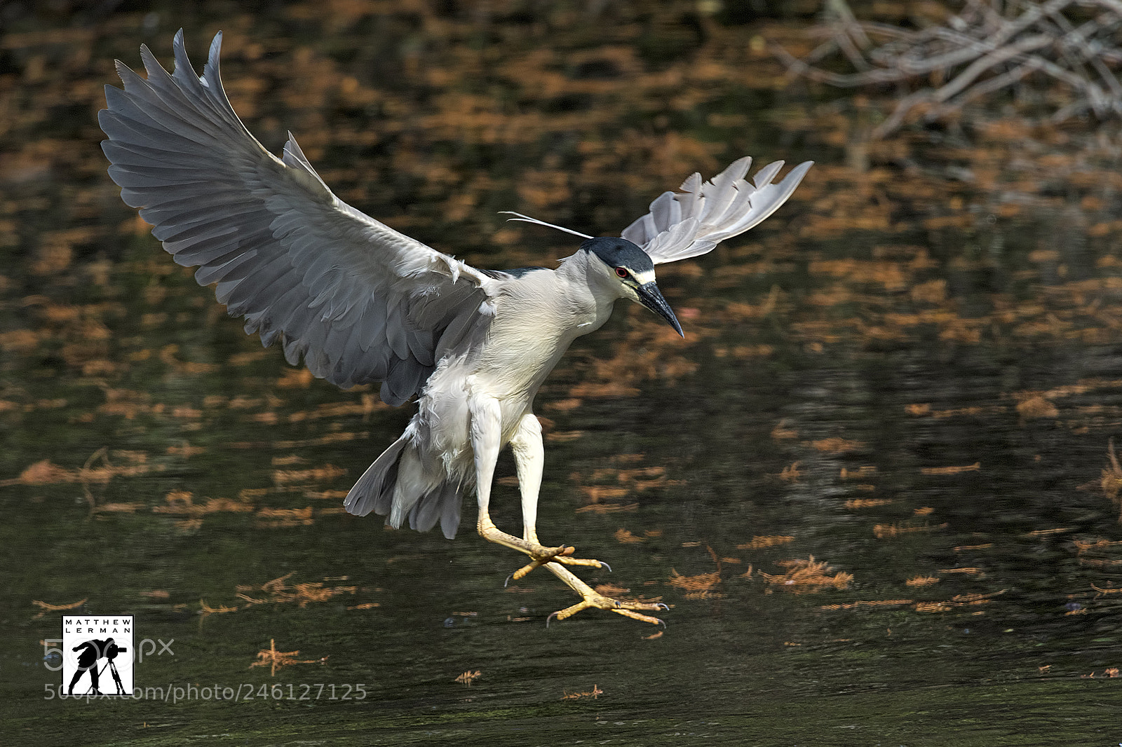 Nikon D810 sample photo. Fishing photography