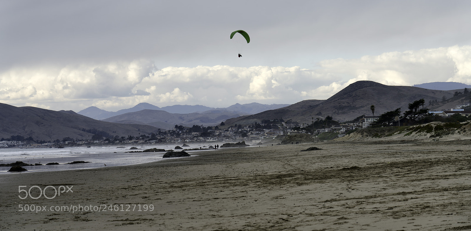 Sony a7R II sample photo. Up up and away photography