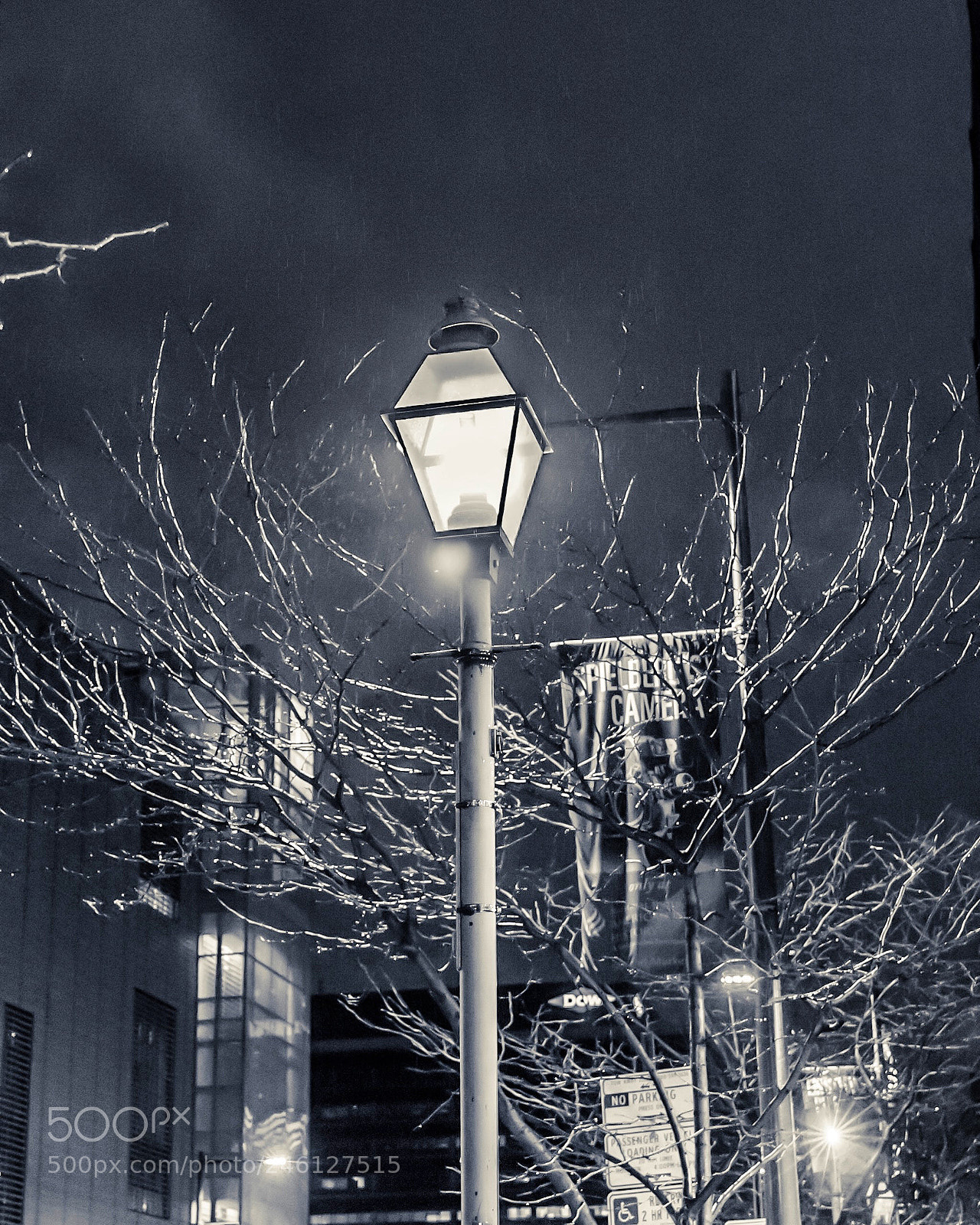 Canon EOS 200D (EOS Rebel SL2 / EOS Kiss X9) sample photo. A light pole framed photography
