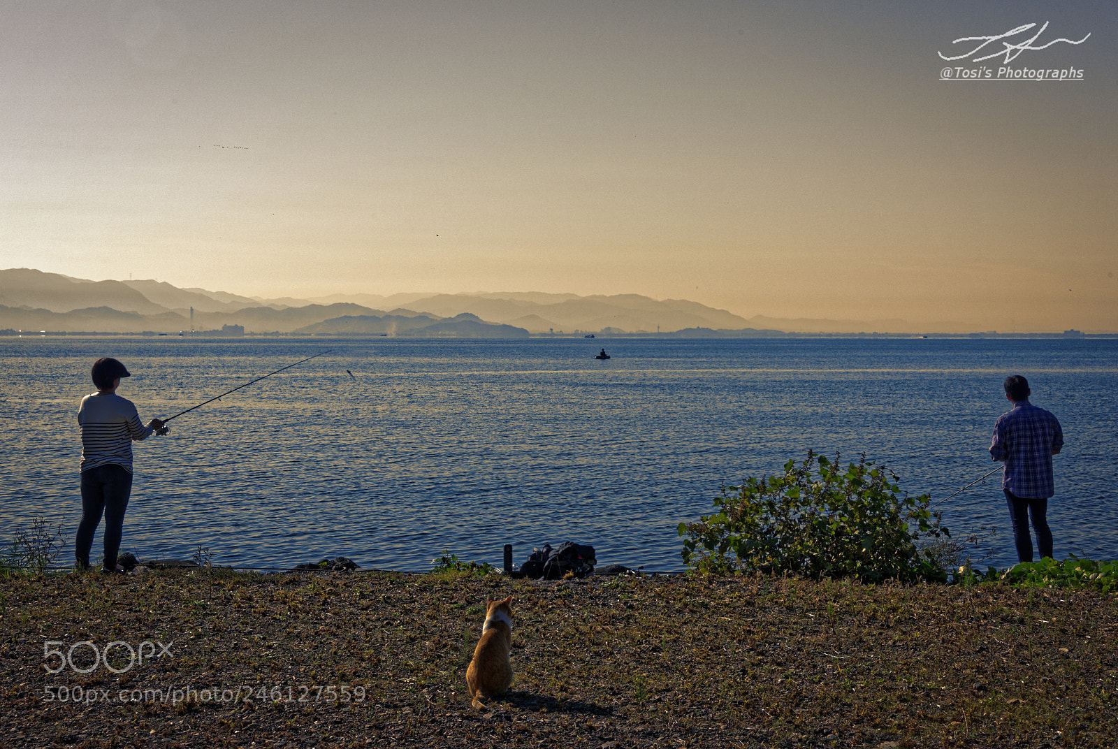 Nikon D810 sample photo. Wait for the fishing! photography