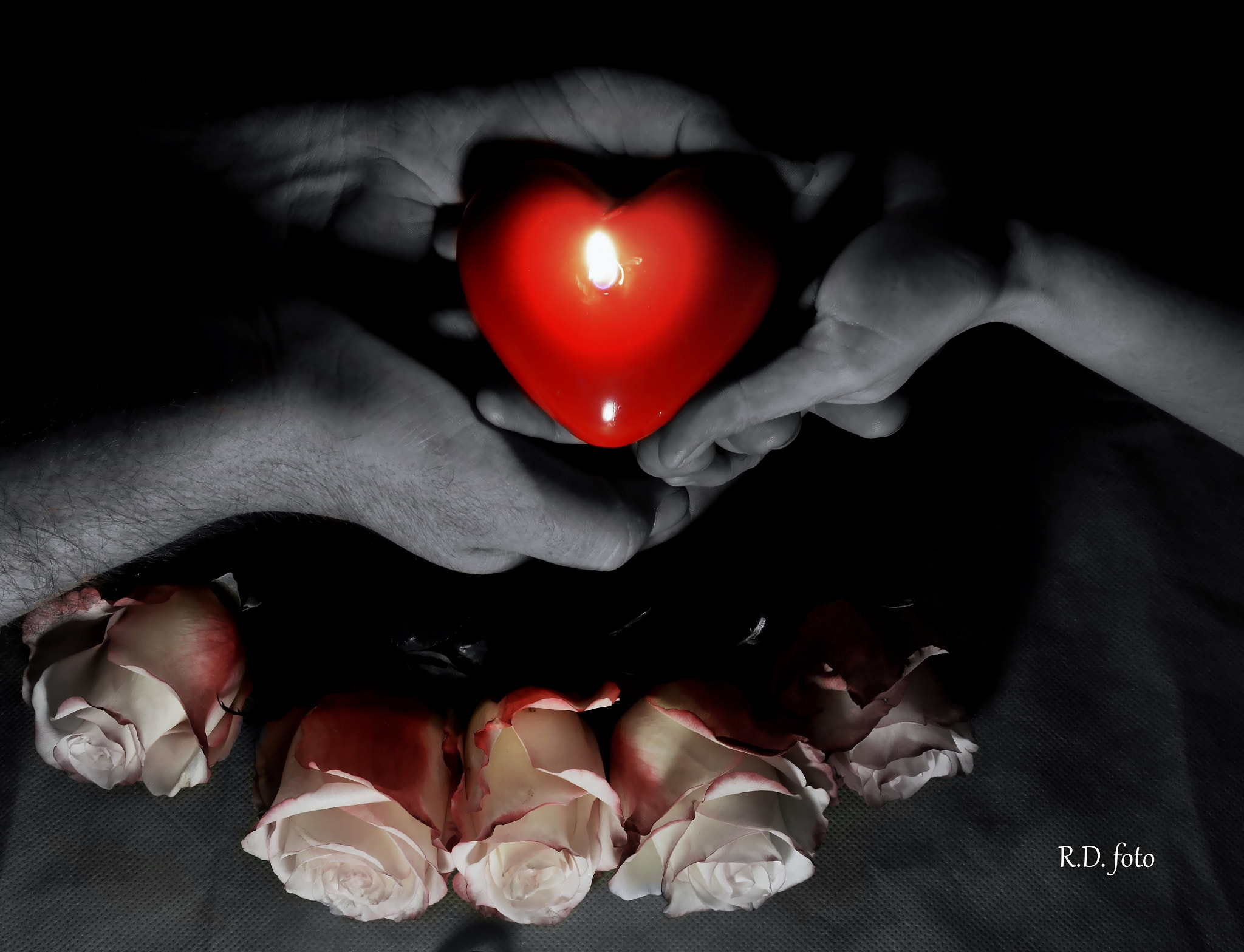 AF Zoom-Nikkor 28-105mm f/3.5-4.5D IF sample photo. San valentino photography