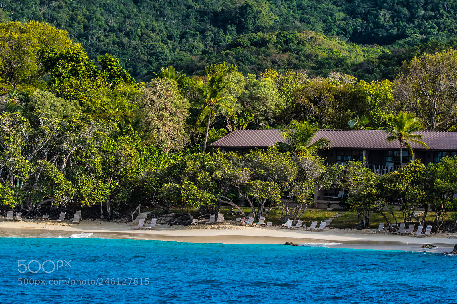Nikon D500 sample photo. Virgin island beach photography