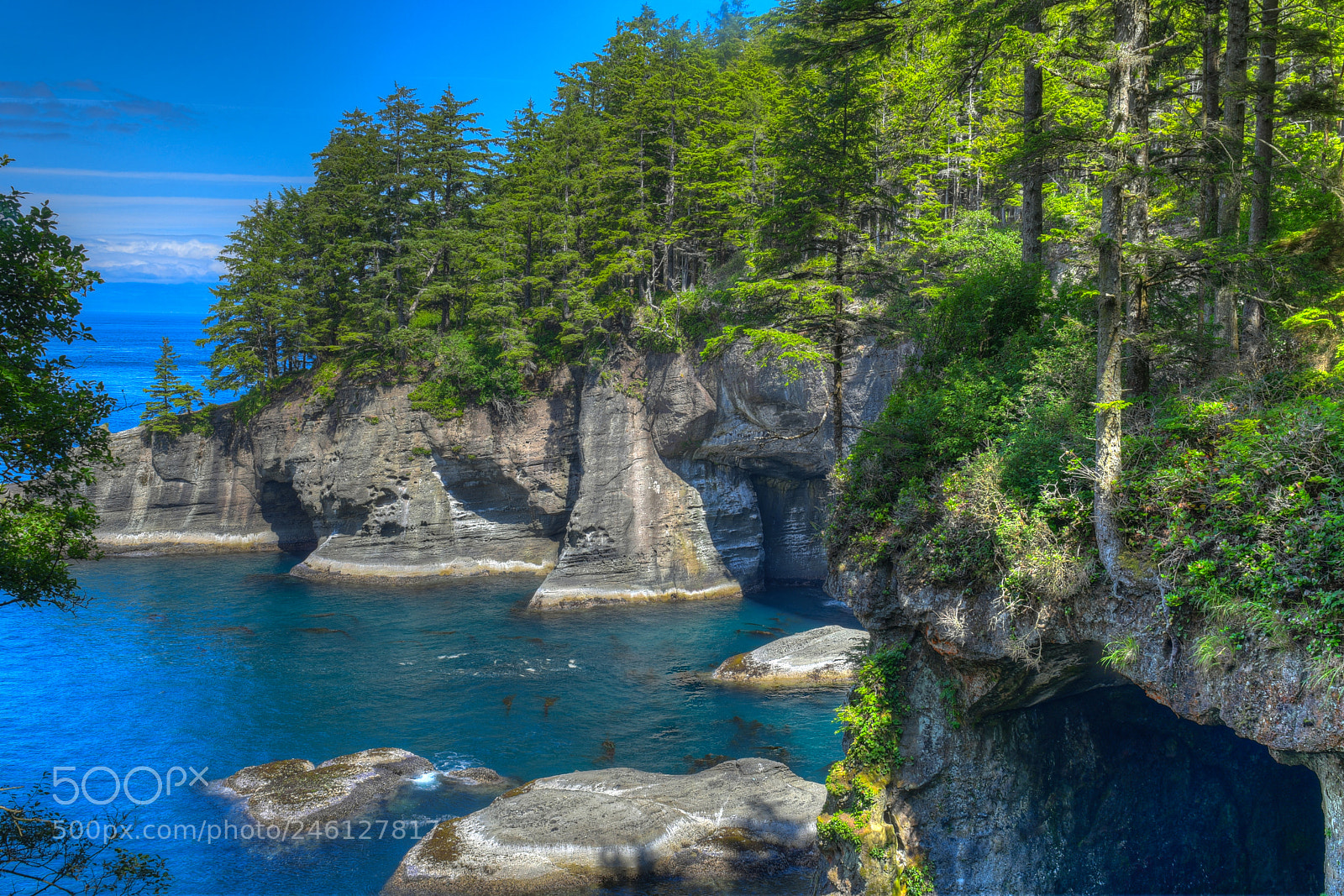Nikon D500 sample photo. Cape flattery photography