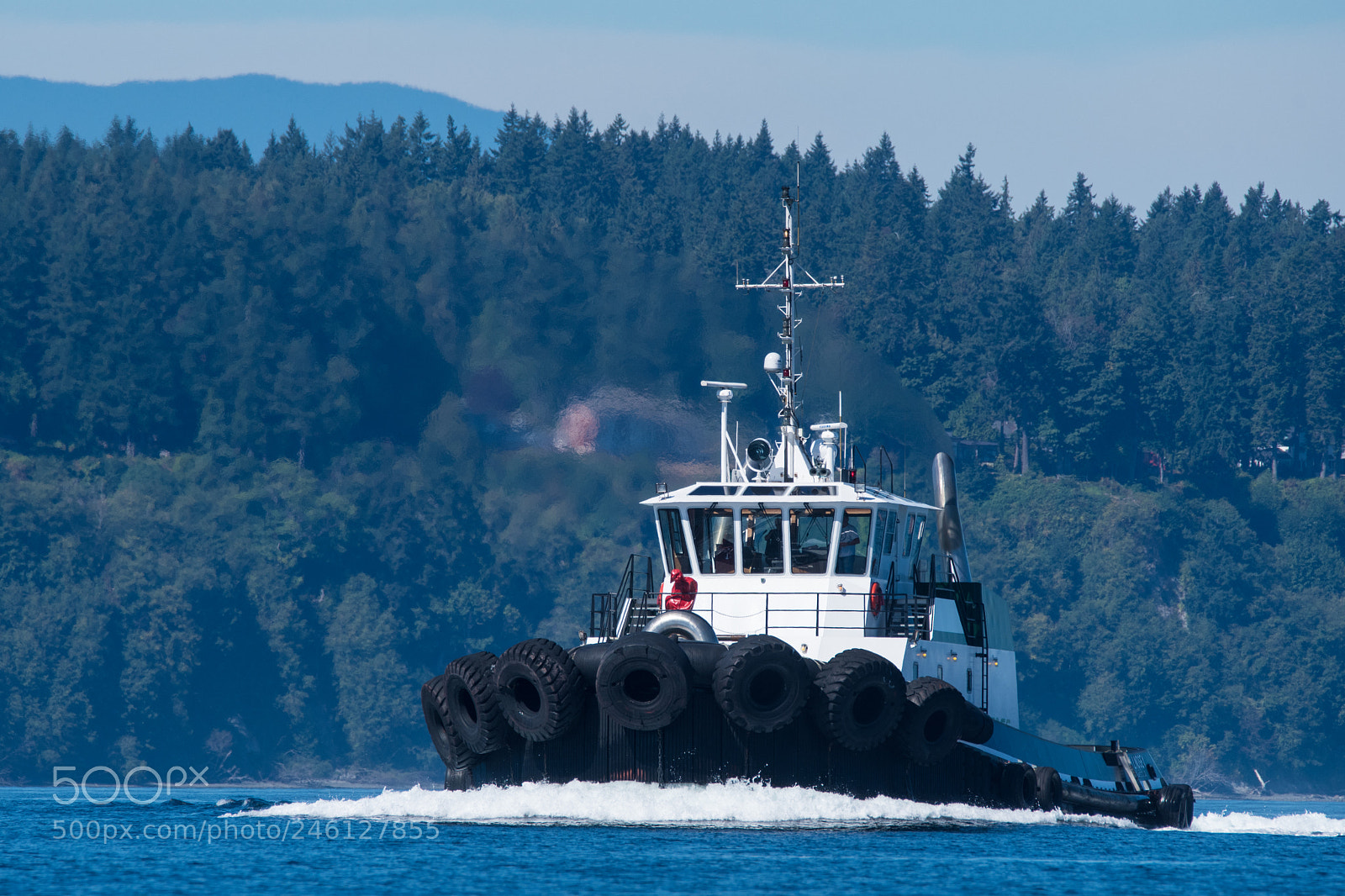 Nikon D500 sample photo. Foss tug, delta lyndsey photography