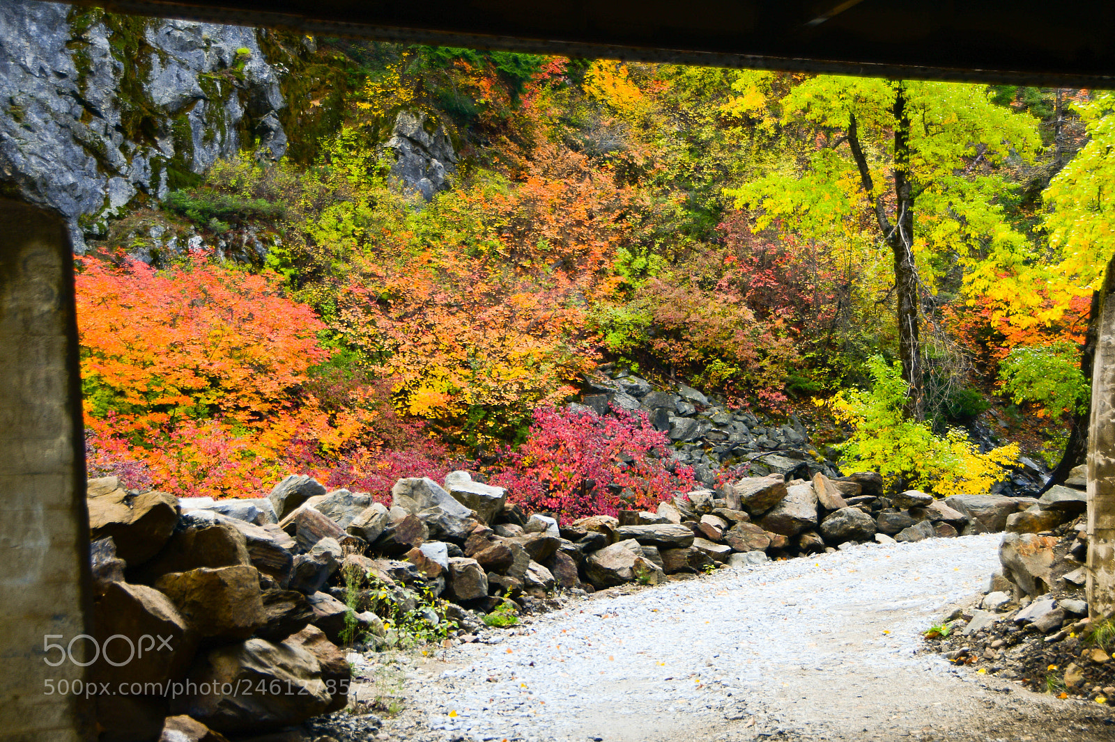 Nikon D500 sample photo. Fall colors near leavenworth photography