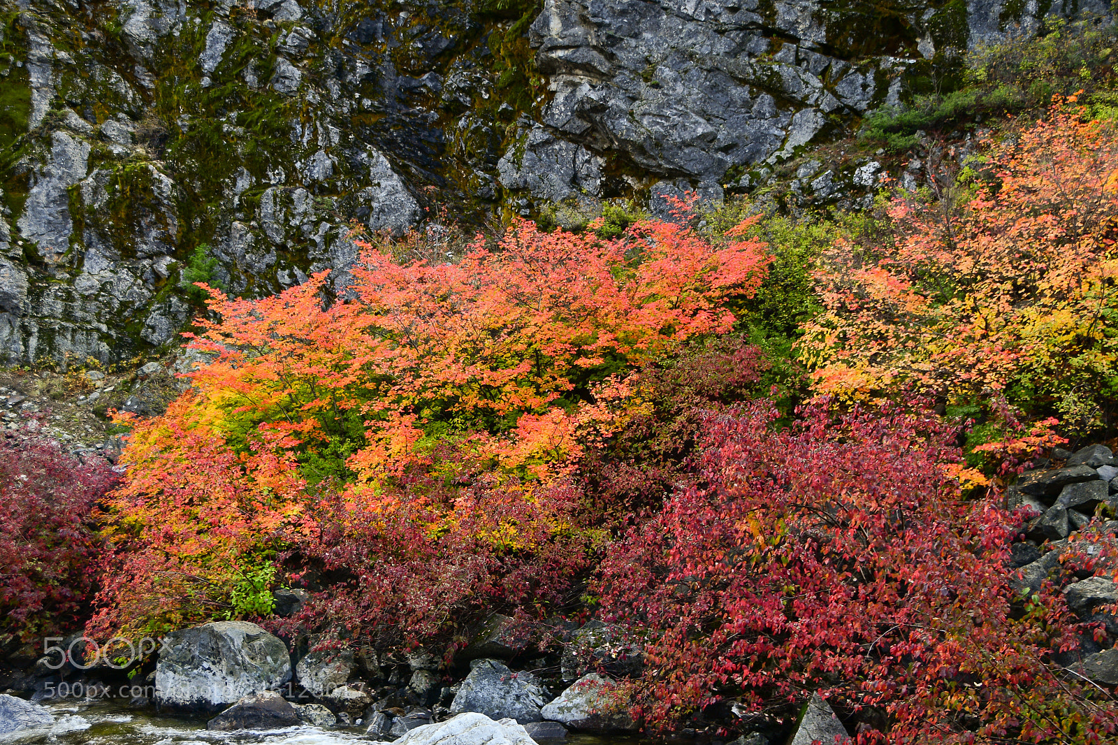 Nikon D500 sample photo. Fall colors photography
