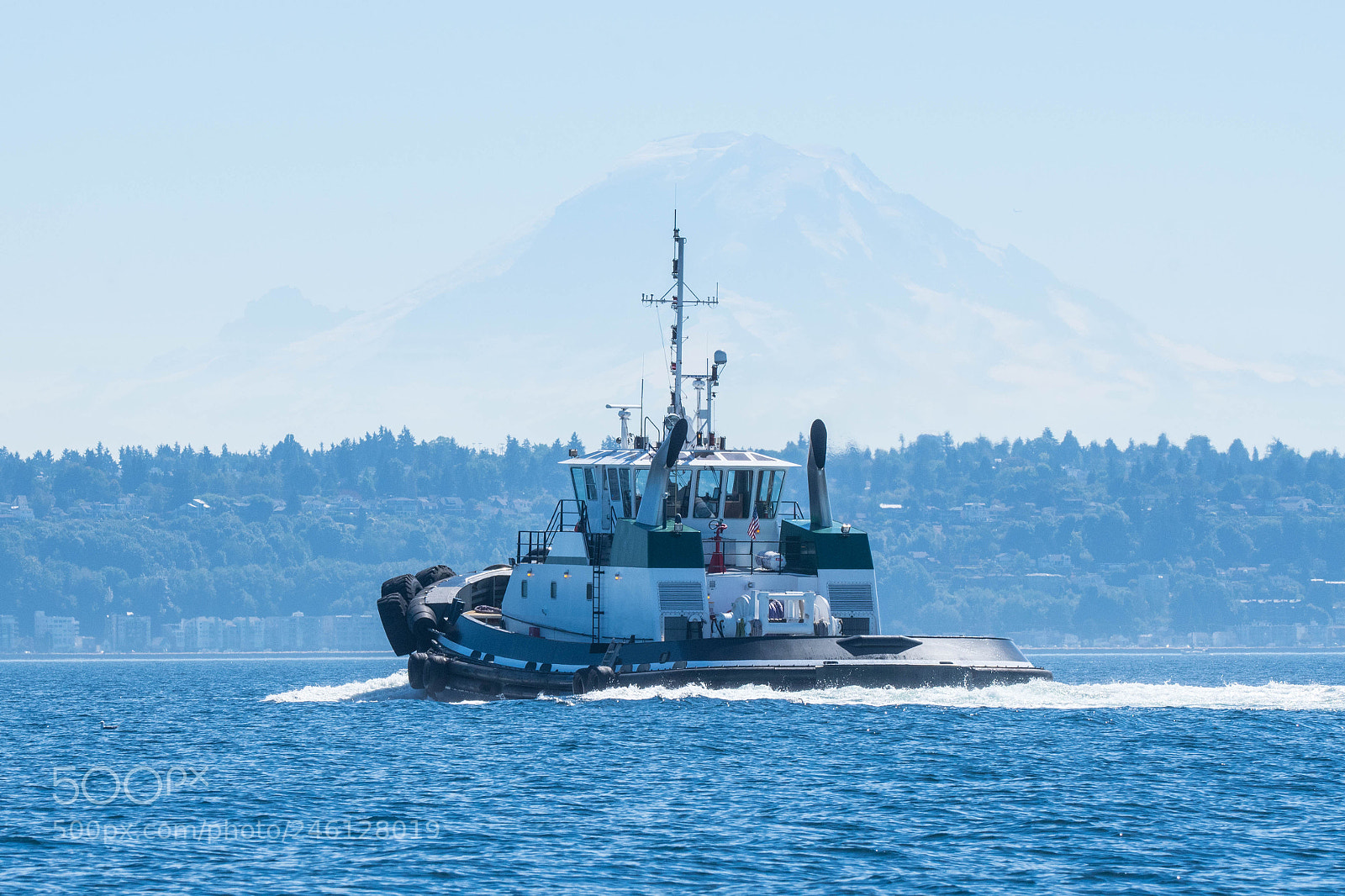 Nikon D500 sample photo. Offshore tug on puget photography