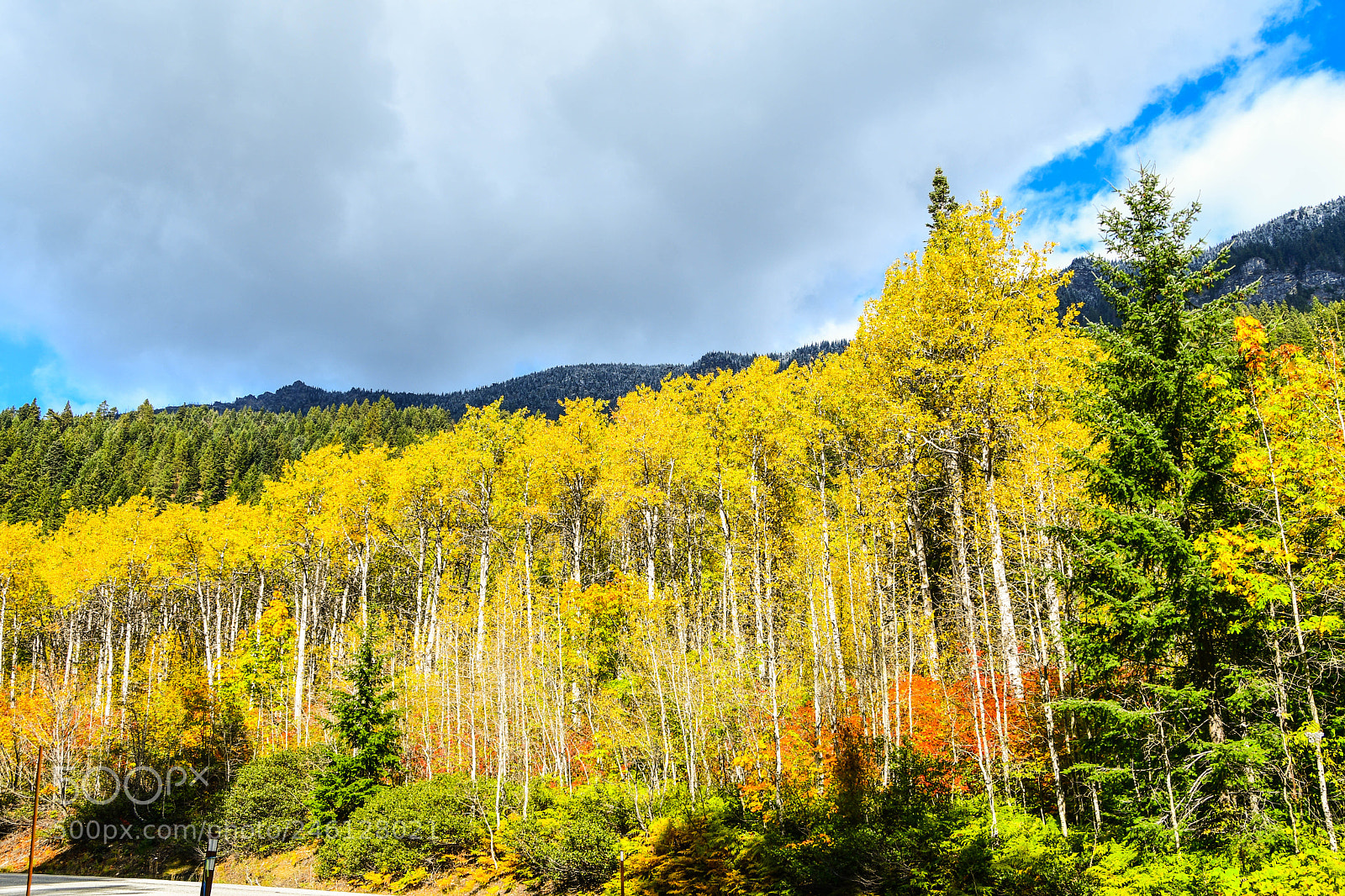 Nikon D500 sample photo. Fall colors in central photography