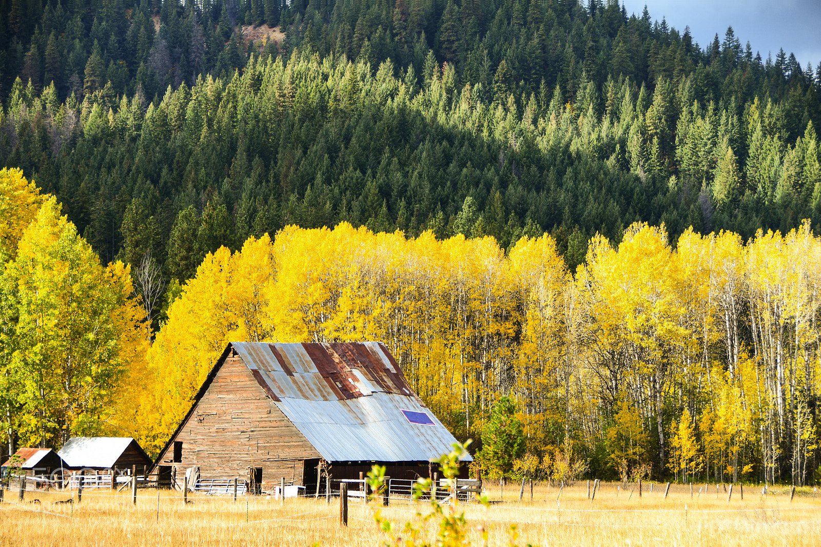 Nikon D500 sample photo. Fall colors photography