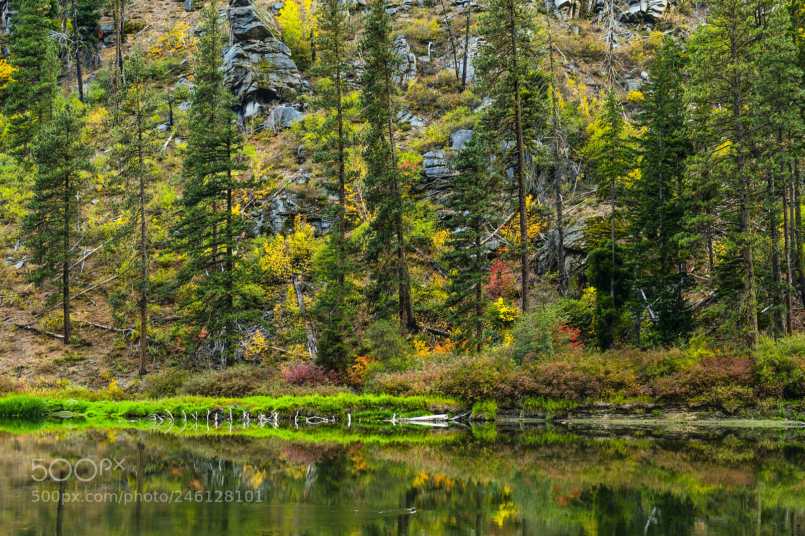 Nikon D500 sample photo. Reflections photography