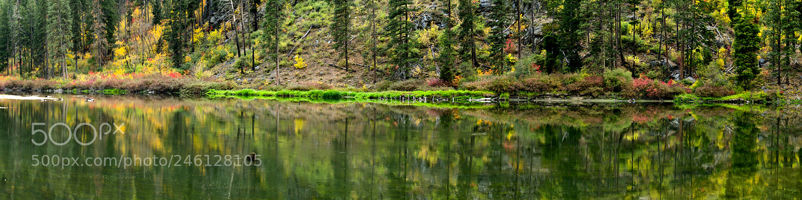 Nikon D500 sample photo. Panorama - tumwater canyon photography