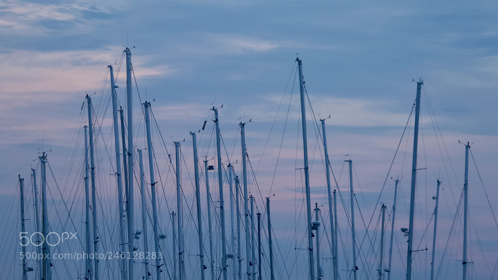Canon EOS 7D Mark II sample photo. Sails down (16:9) photography