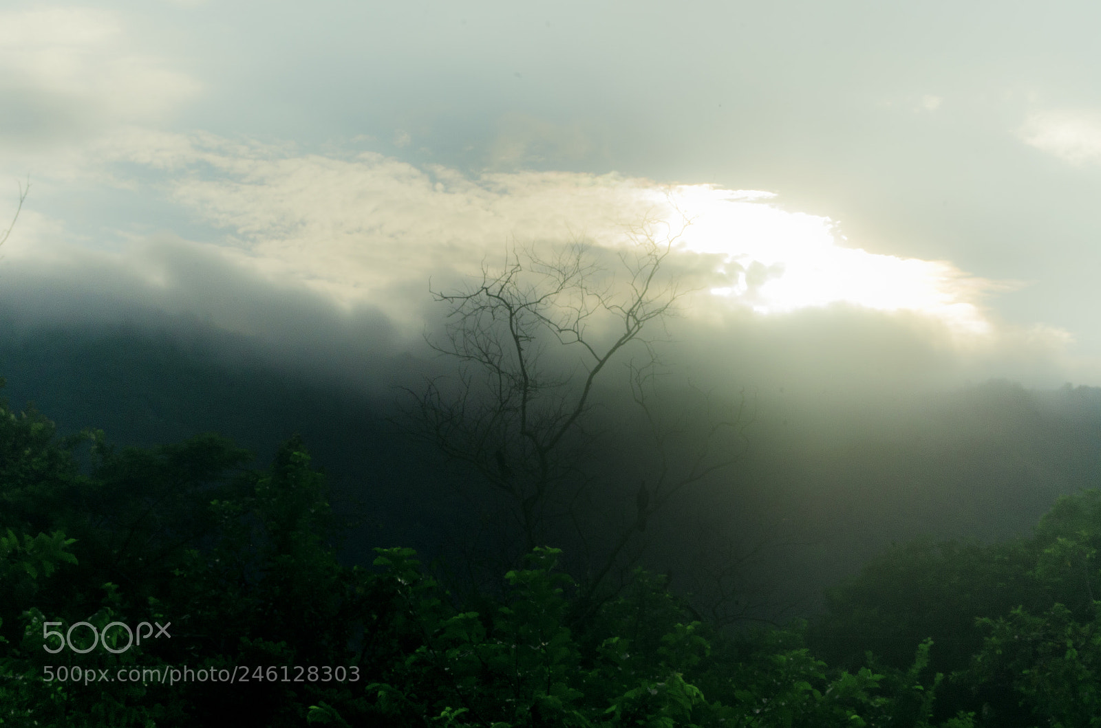 Nikon D5100 sample photo. Fantasy photography