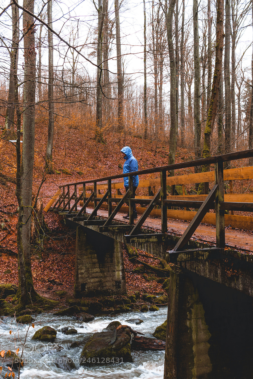 Canon EOS 700D (EOS Rebel T5i / EOS Kiss X7i) sample photo. On a hike photography
