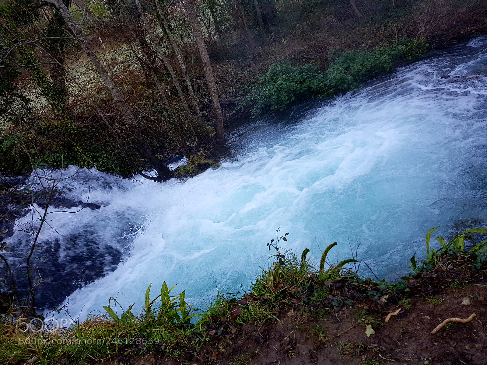 Samsung Galaxy S8 sample photo. River creissels photography