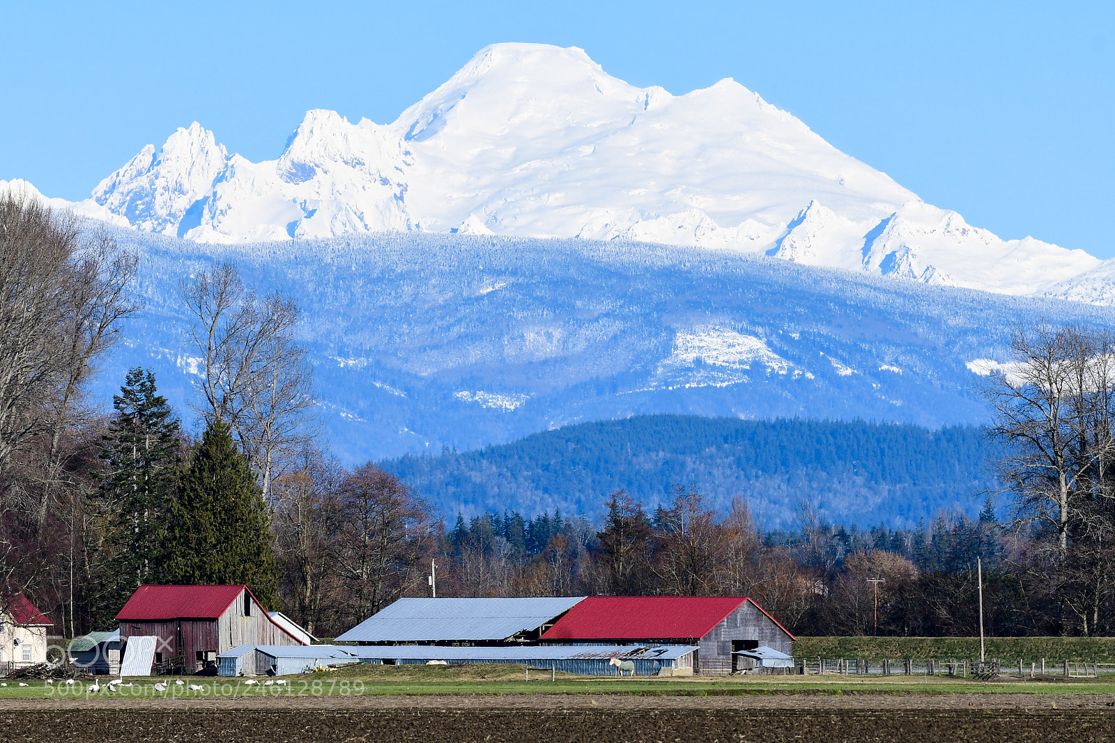 Nikon D500 sample photo. Mount baker covered in photography