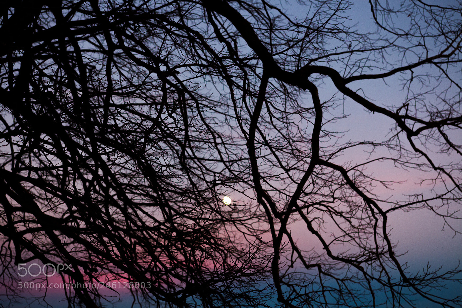 Canon EOS 700D (EOS Rebel T5i / EOS Kiss X7i) sample photo. Full moon.jpg photography