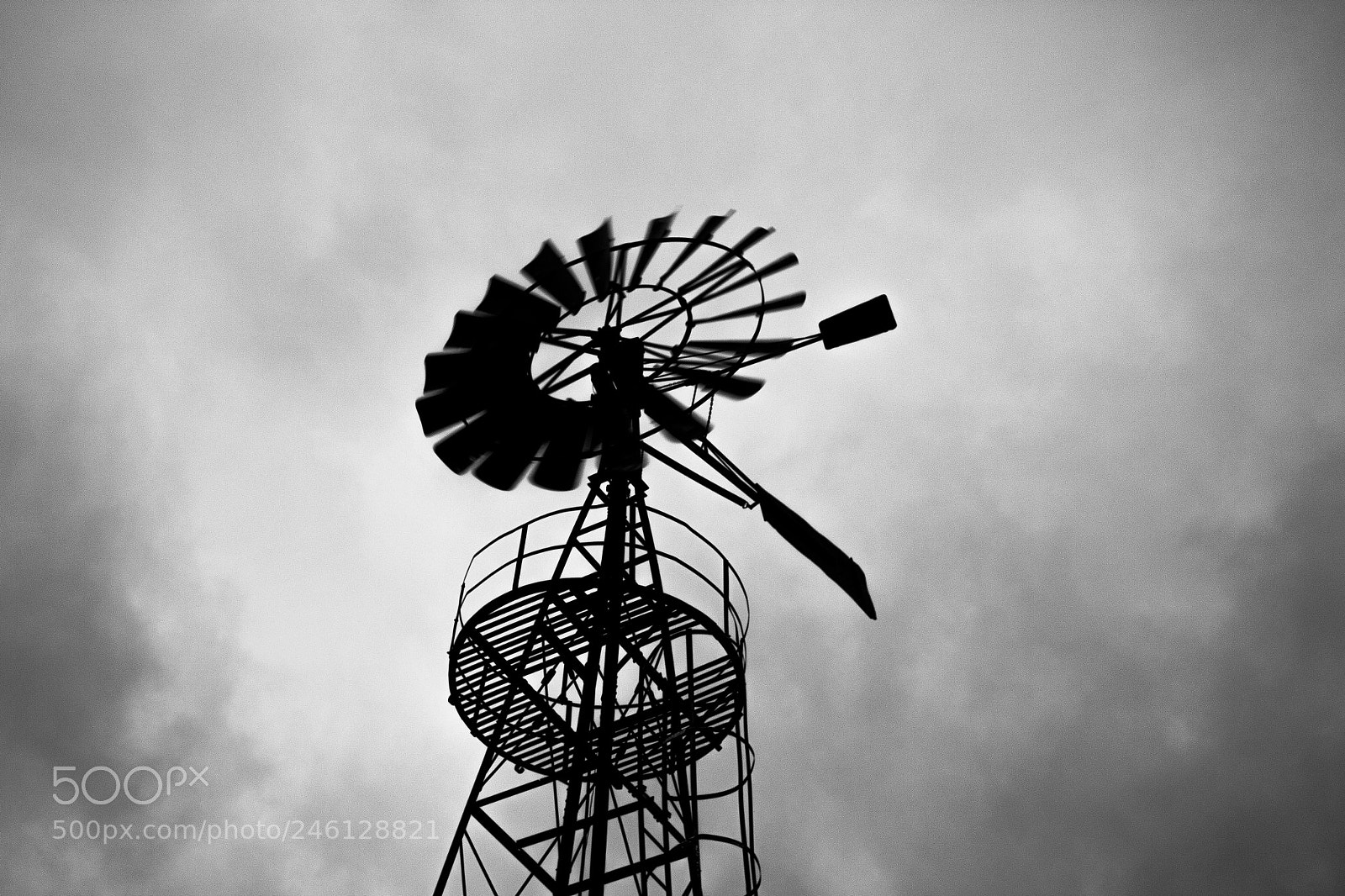 Canon EOS 700D (EOS Rebel T5i / EOS Kiss X7i) sample photo. In the wind.jpg photography