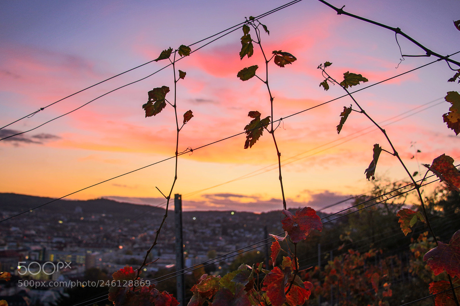 Canon EOS 700D (EOS Rebel T5i / EOS Kiss X7i) sample photo. Stuttgart wein.jpg photography