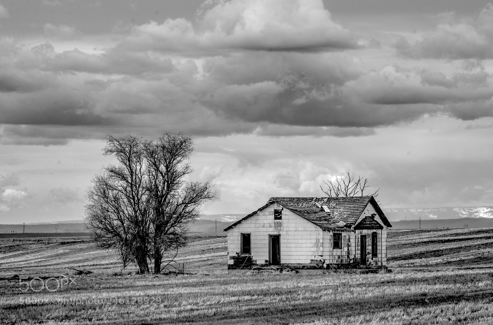 Nikon D500 sample photo. Deserted photography
