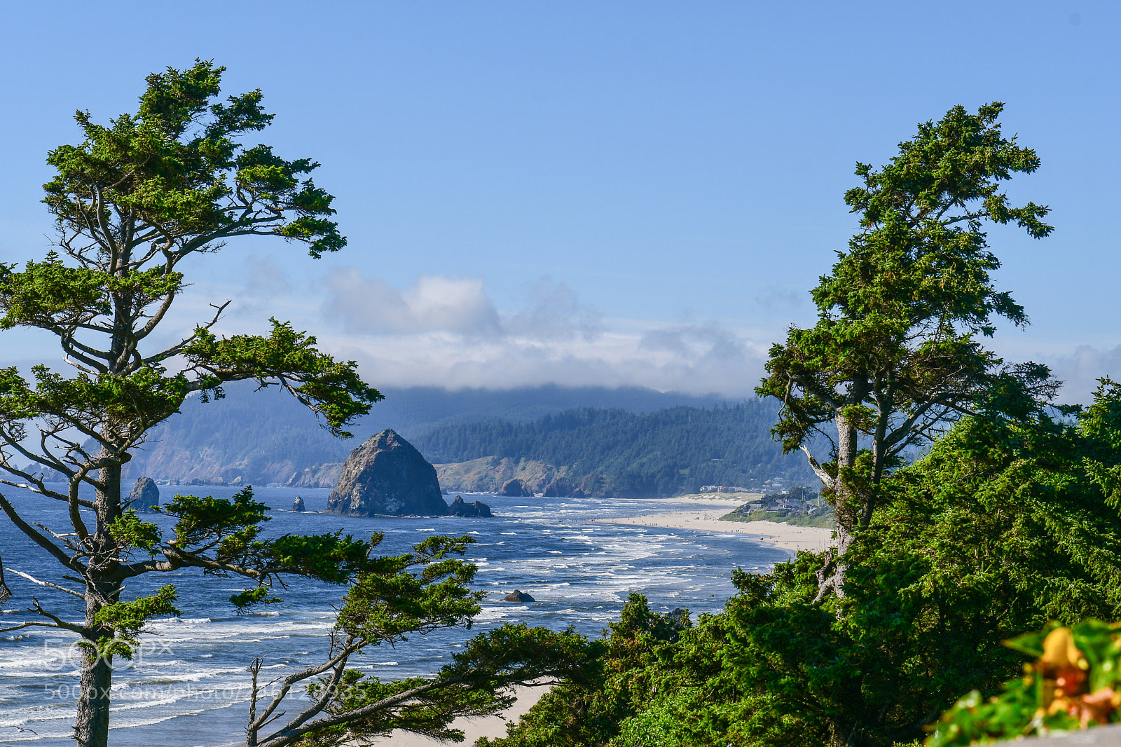Nikon D500 sample photo. Cannon beach, oregon photography