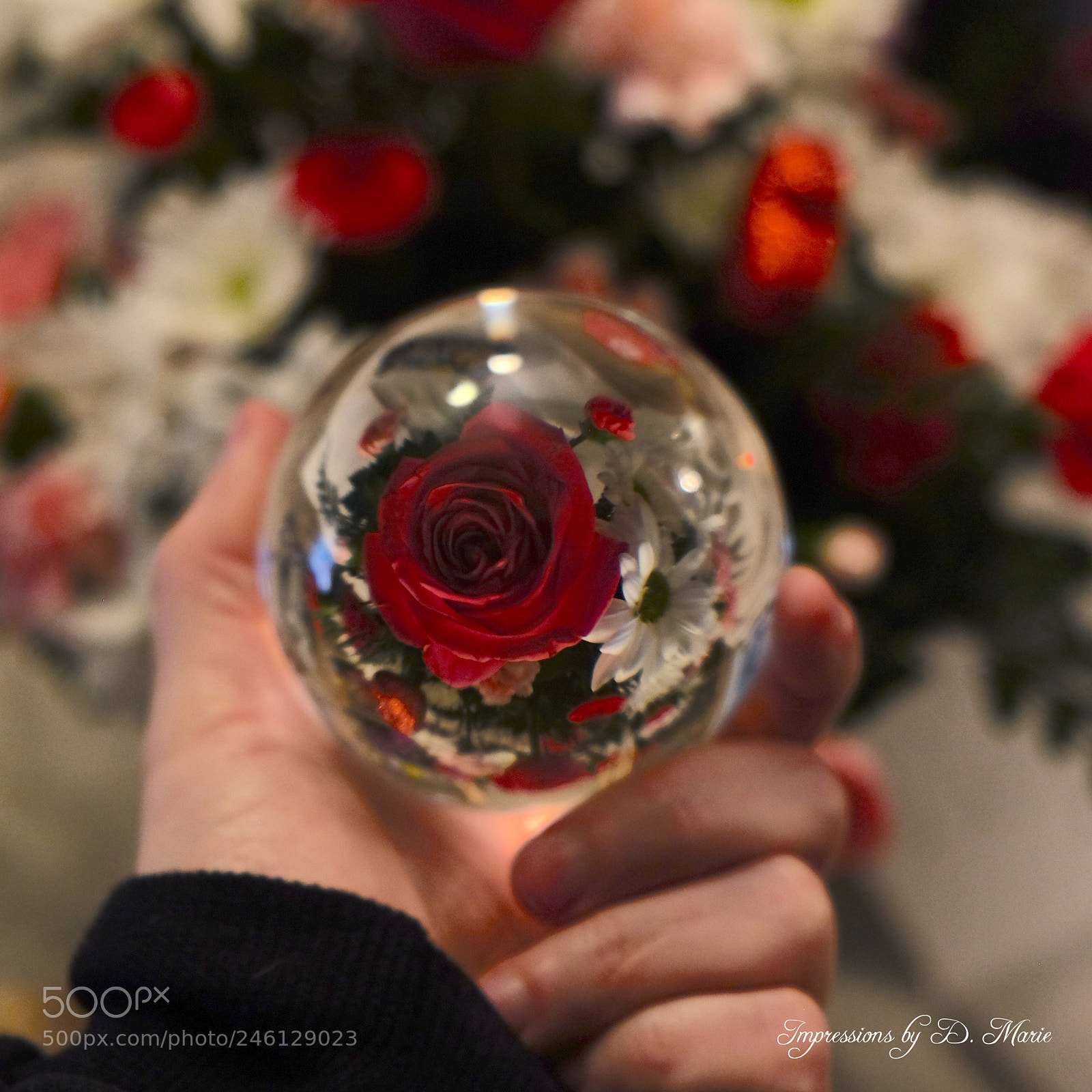 Fujifilm X-T10 sample photo. Rose sphere photography