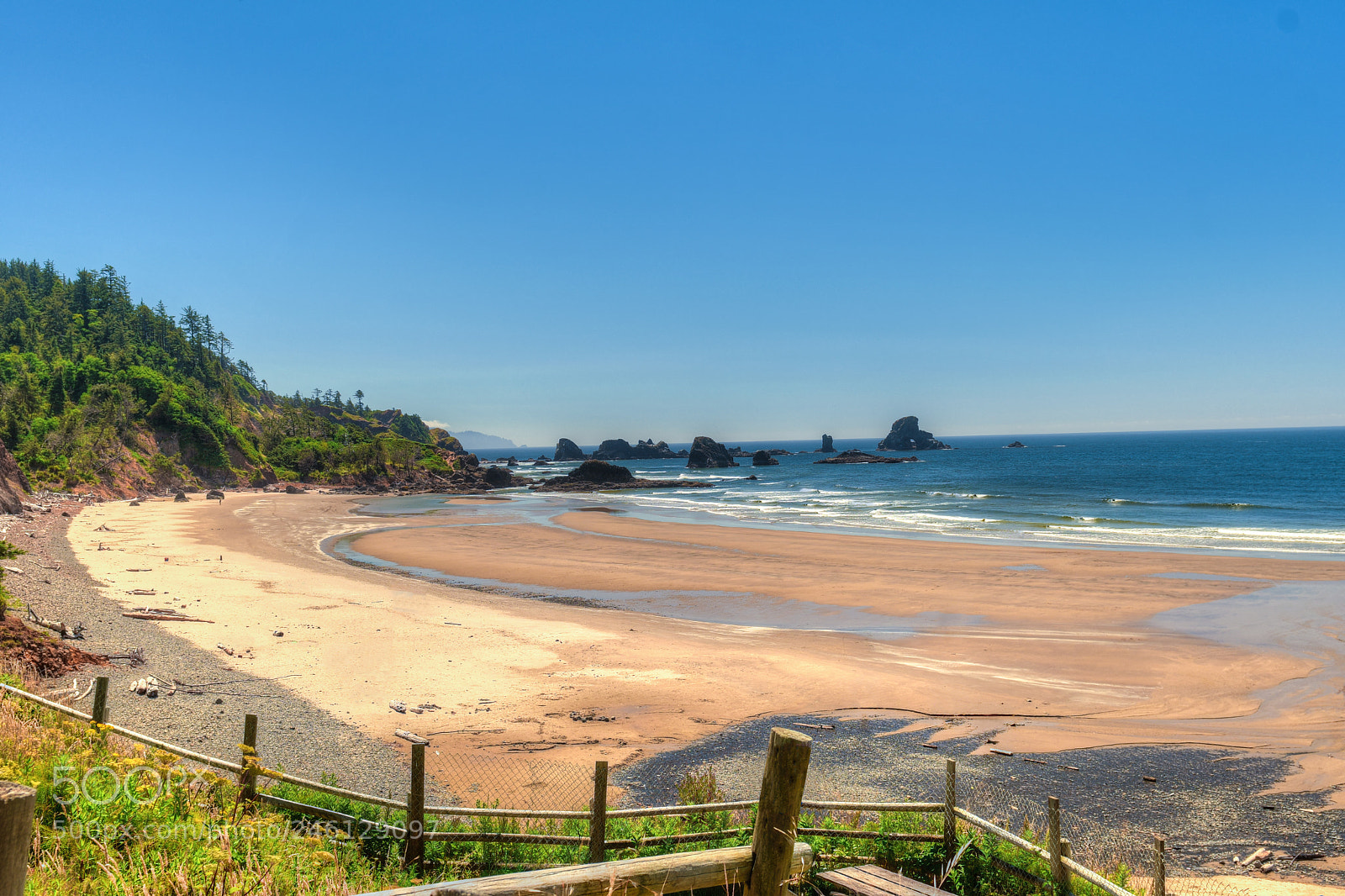 Nikon D500 sample photo. Ecola state park photography