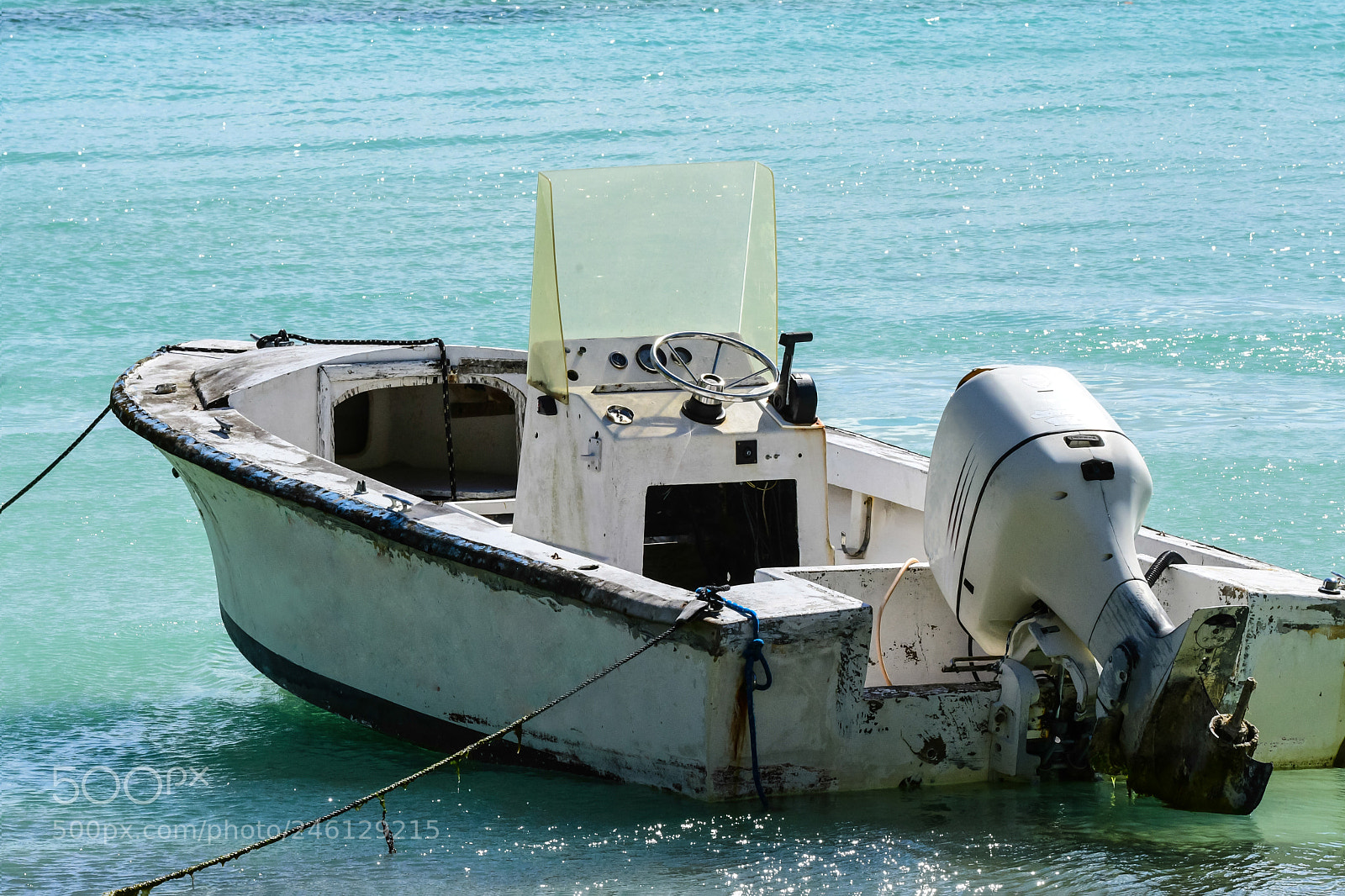 Nikon D500 sample photo. Skiff tied to tree photography