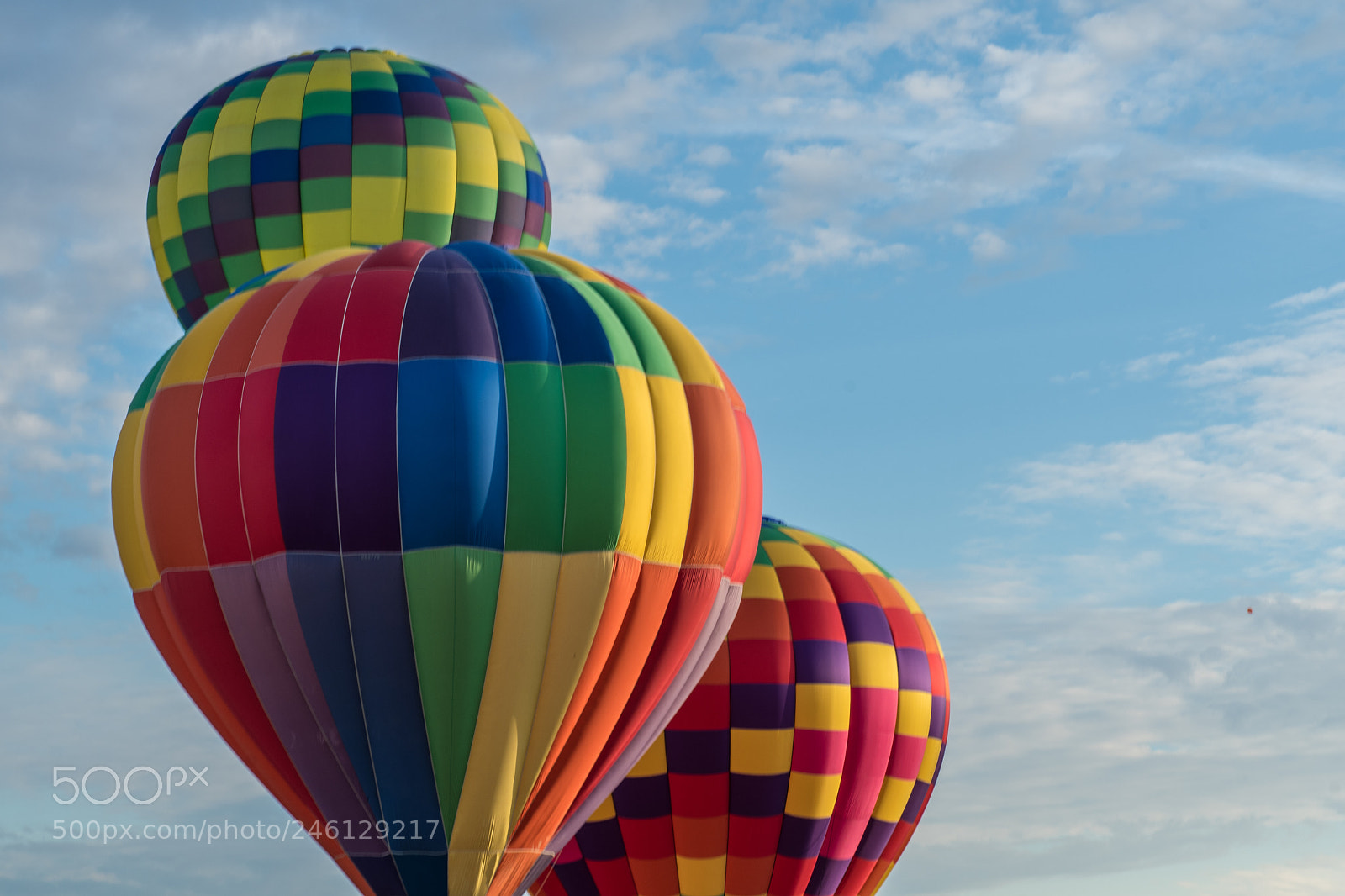 Nikon D500 sample photo. Balloon balloon festival 2017 photography