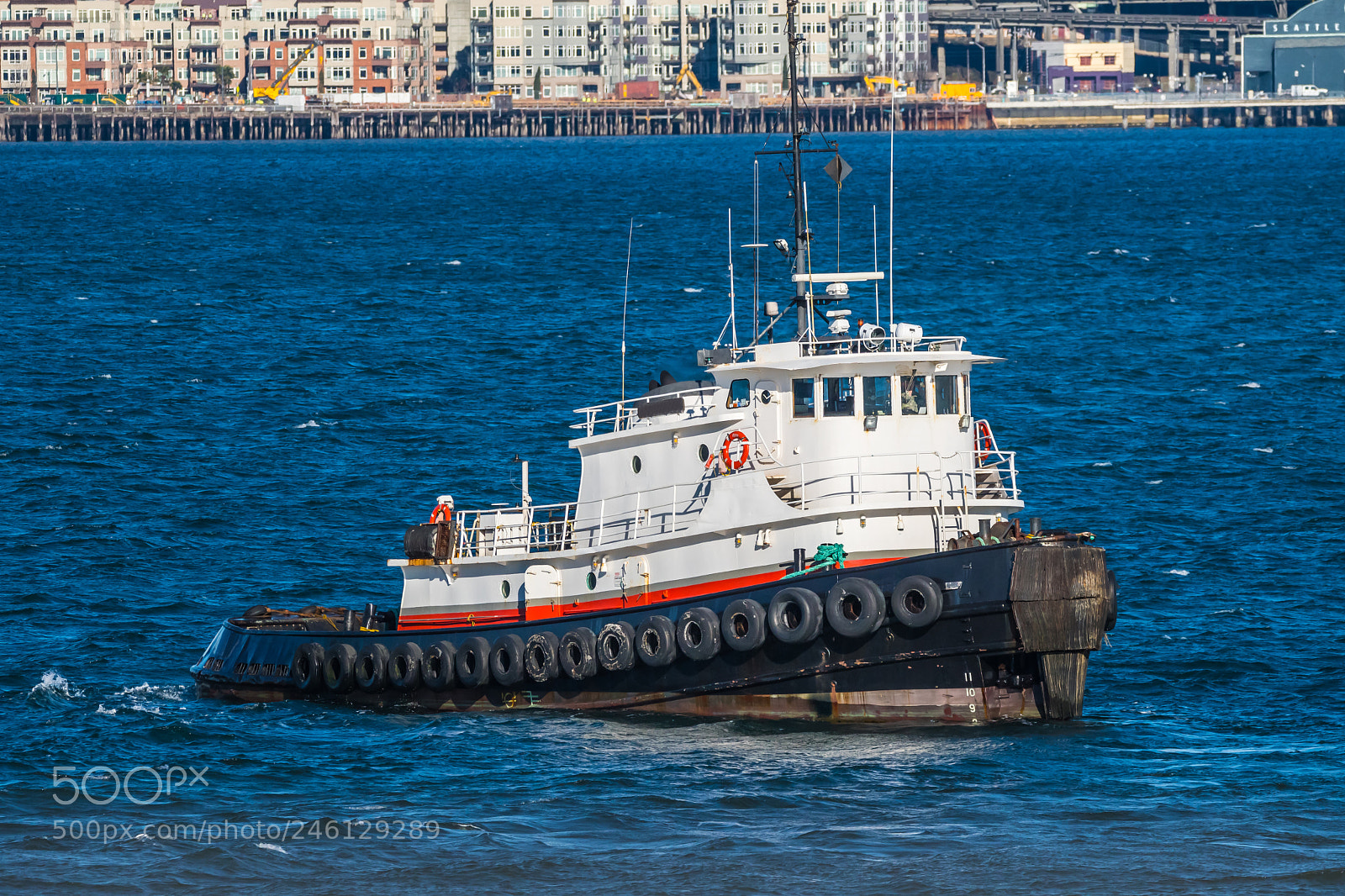 Nikon D500 sample photo. M t taurus on photography