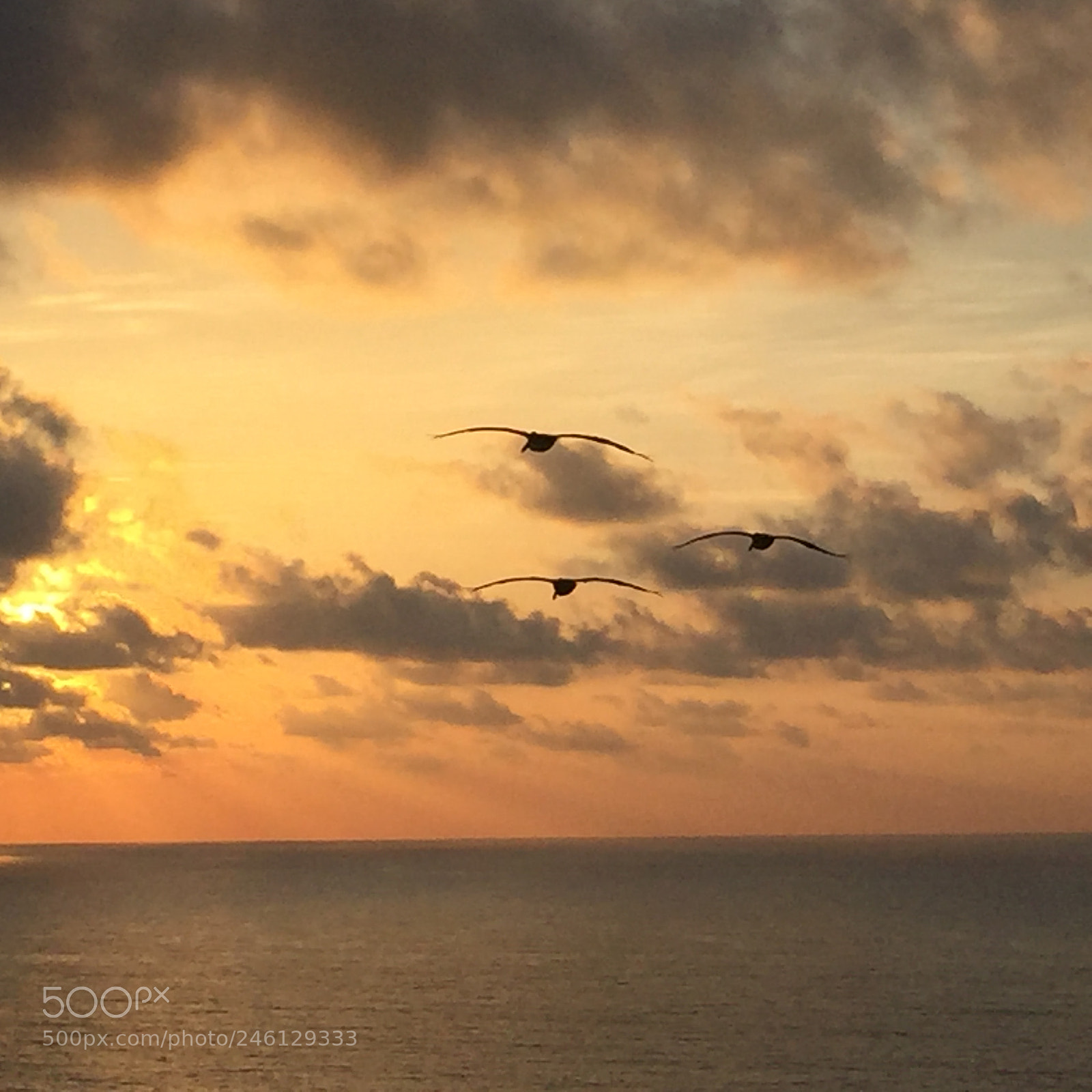 Apple iPhone 6 sample photo. A cancún sunrise photography