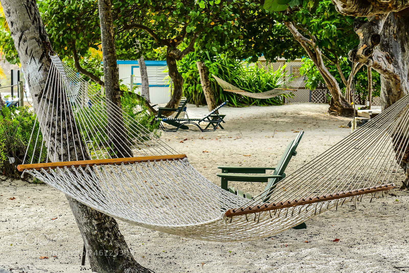 Nikon D500 sample photo. Virgin island beach photography