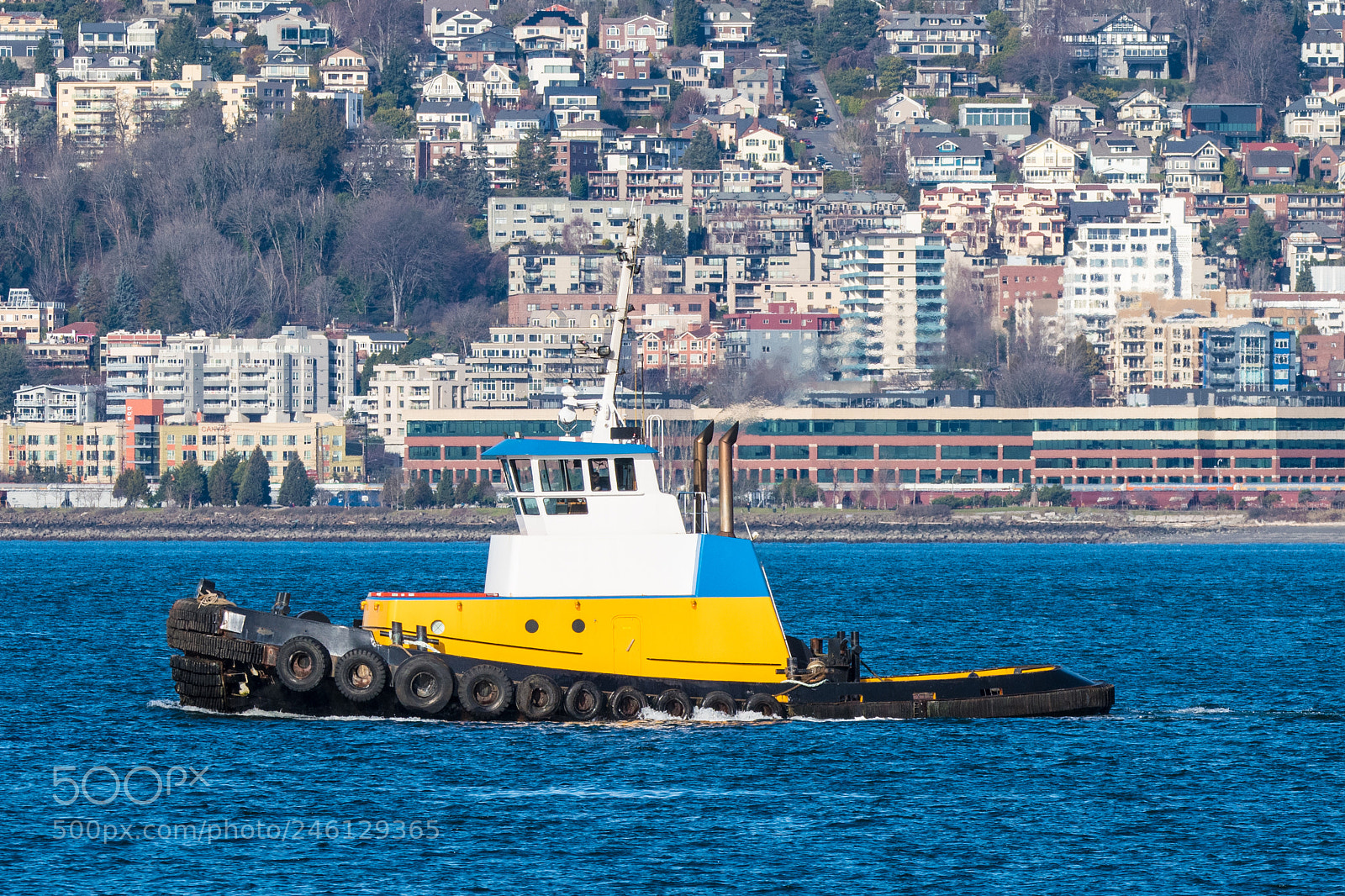 Nikon D500 sample photo. Small harbor tug on photography