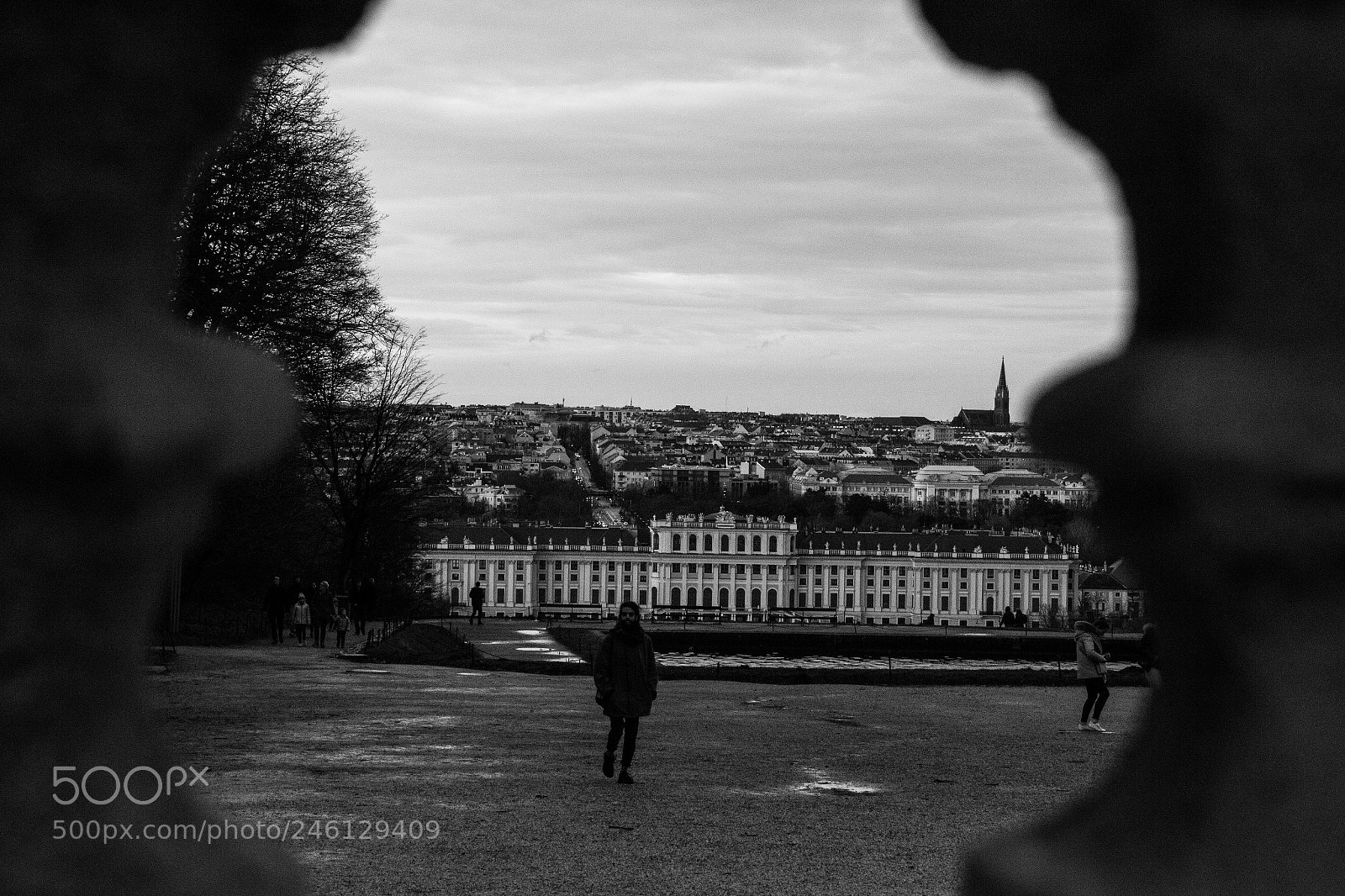 Canon EOS 60D sample photo. Vienna photography