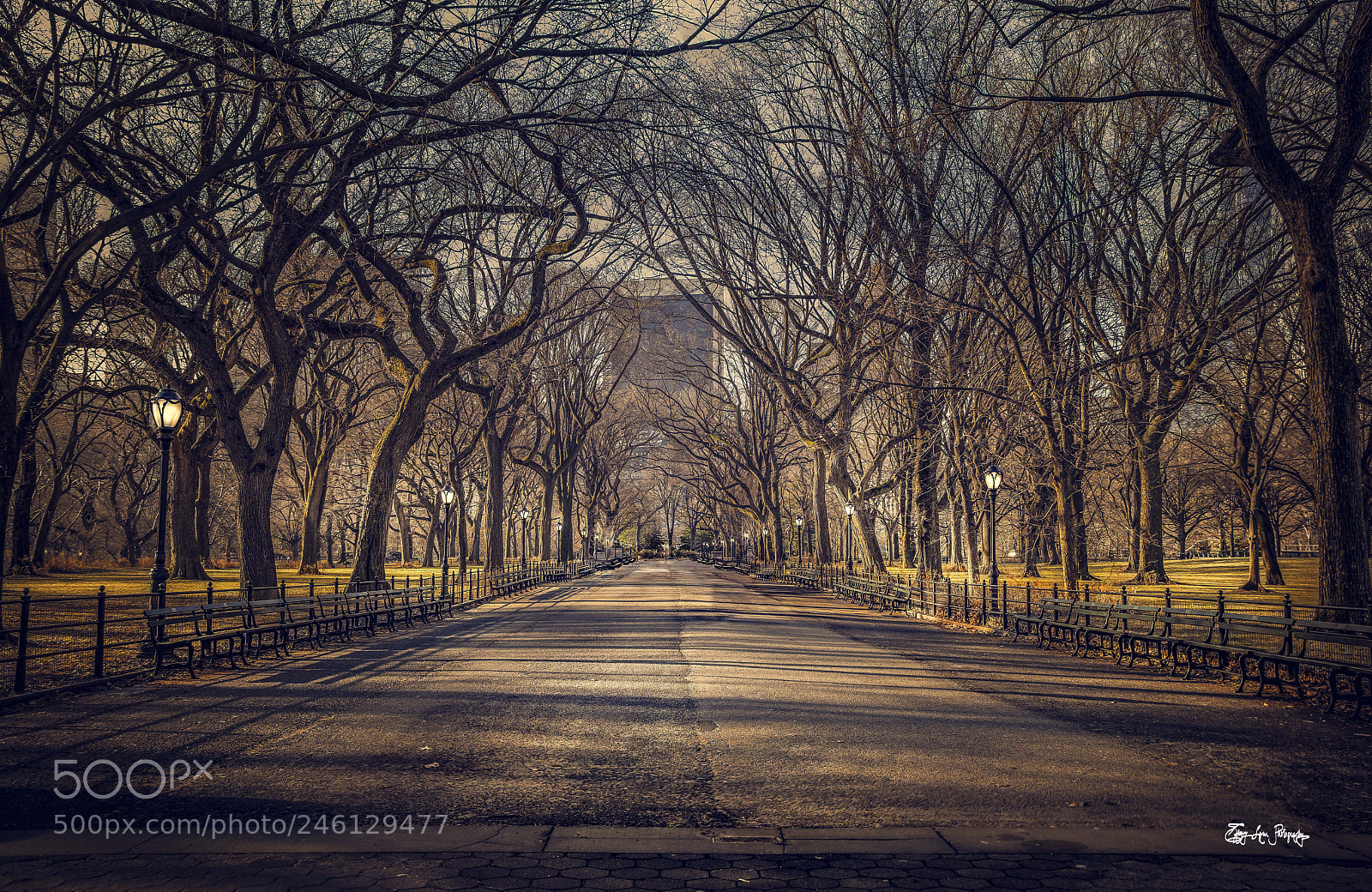 Nikon D850 sample photo. Febuary morning in central photography