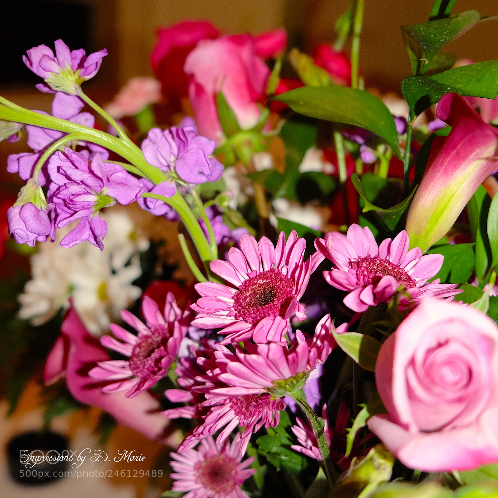 Fujifilm X-T10 sample photo. Arrangement photography