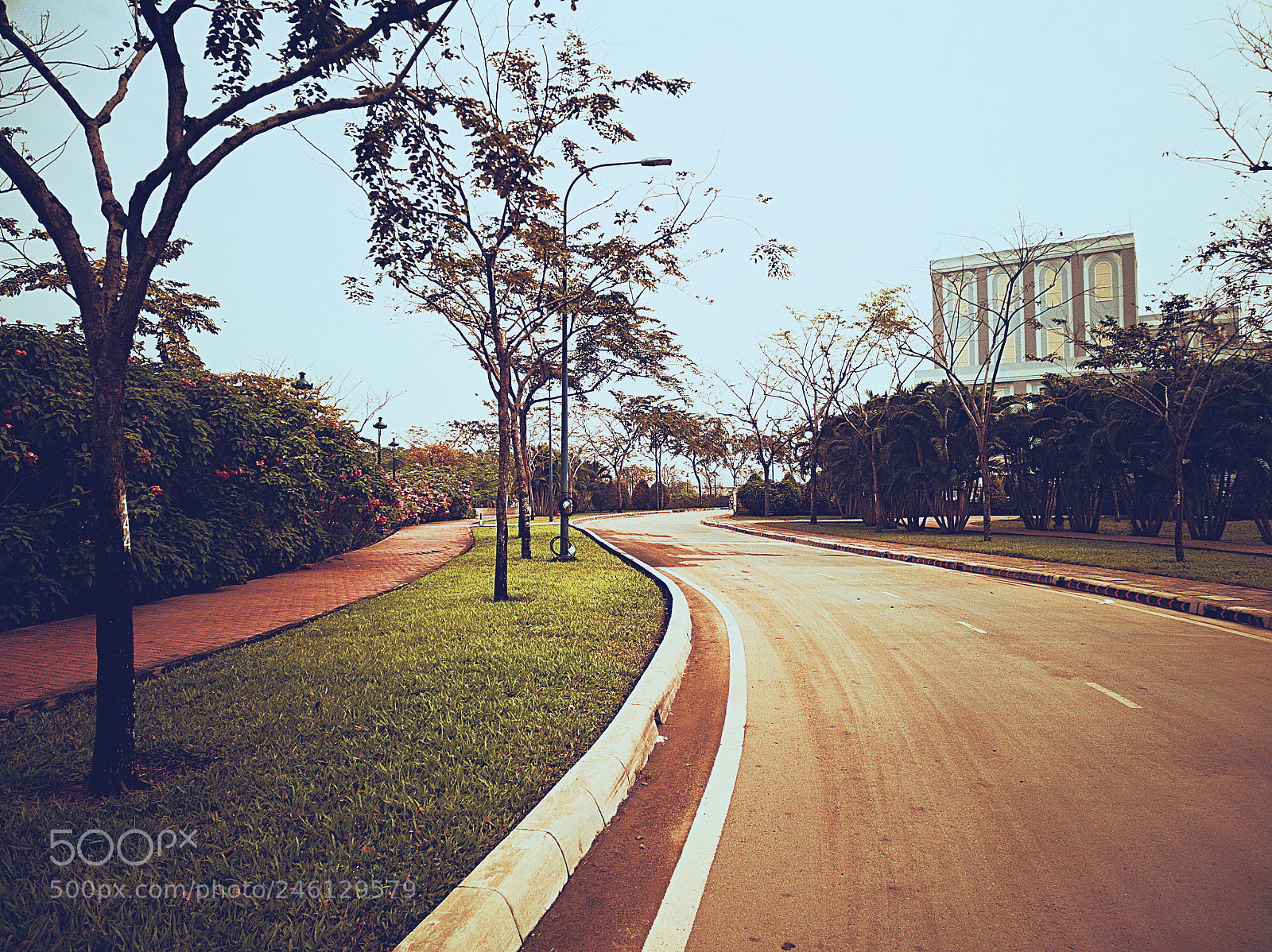 HUAWEI nova 2i sample photo. Lonely road photography