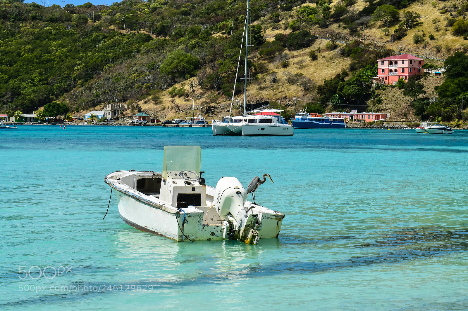 Nikon D500 sample photo. Dinghy photography