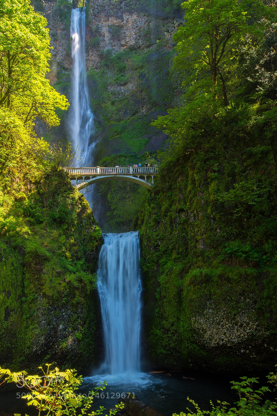 Nikon D500 sample photo. Multnomah falls photography