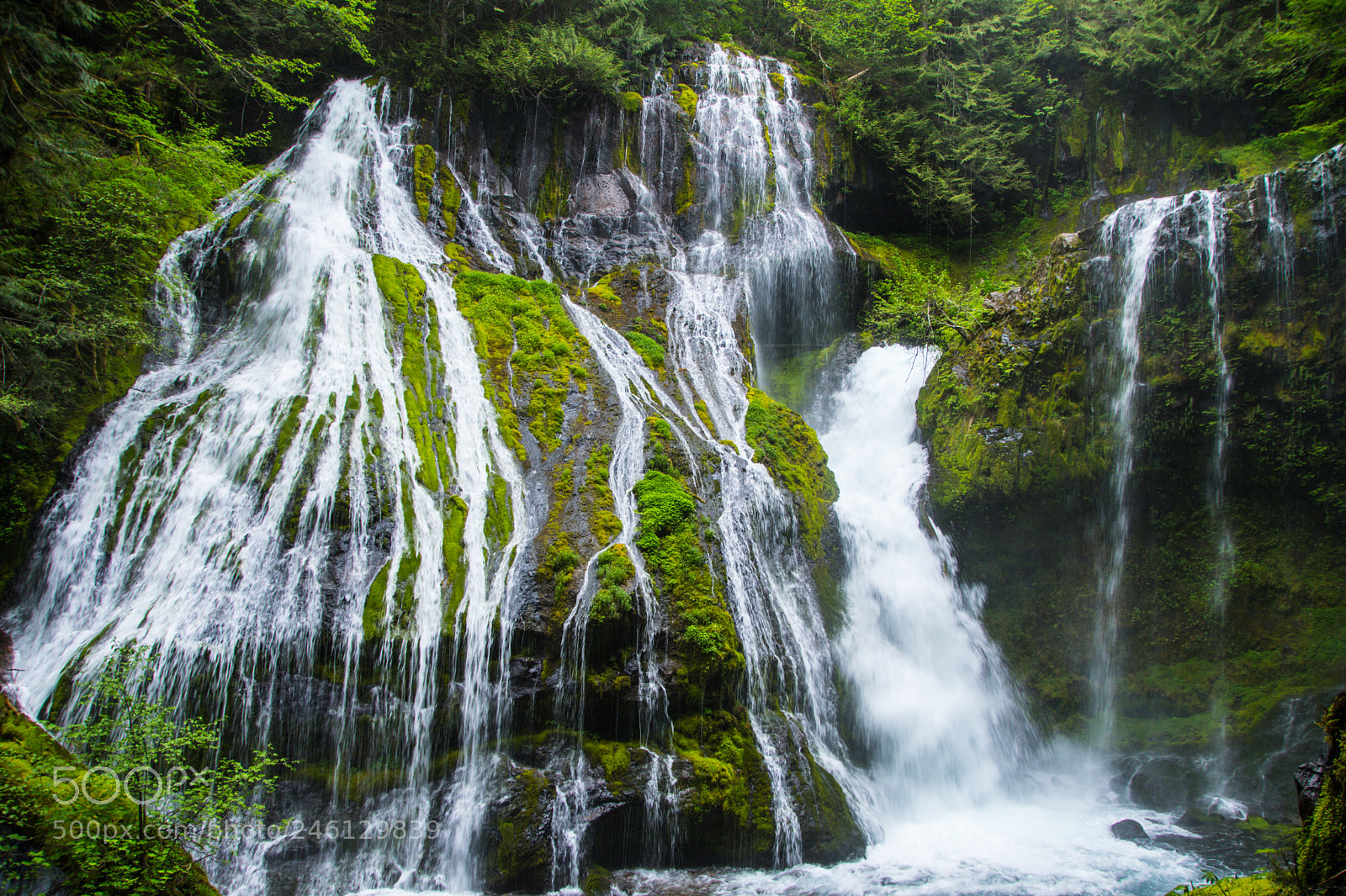 Nikon D500 sample photo. Panther creek falls photography