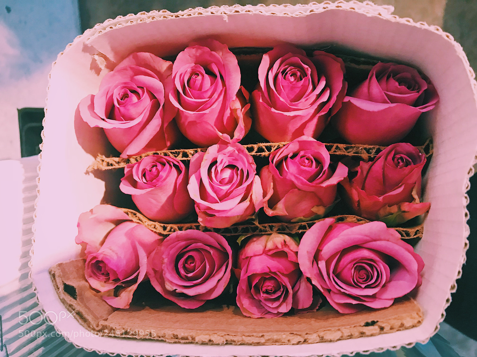 Apple iPhone 7 sample photo. Val day photography
