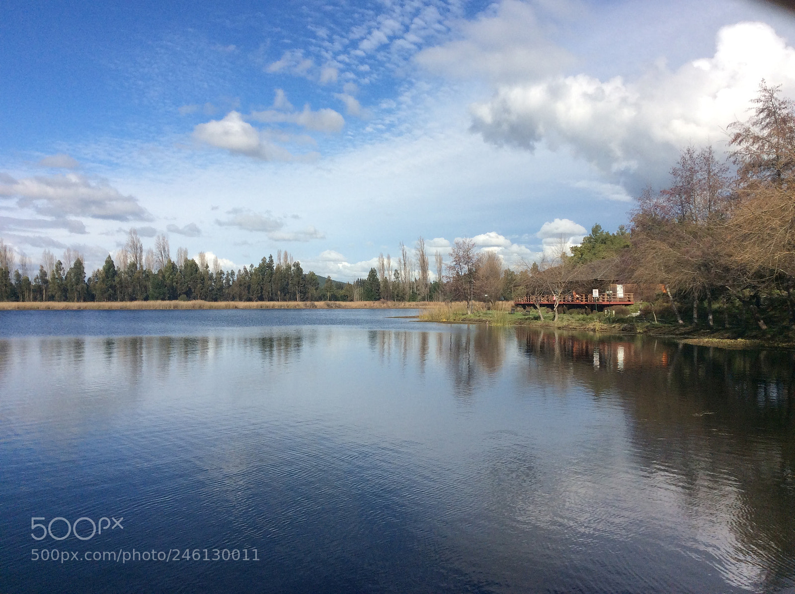 Apple iPad Air sample photo. Untitled photography