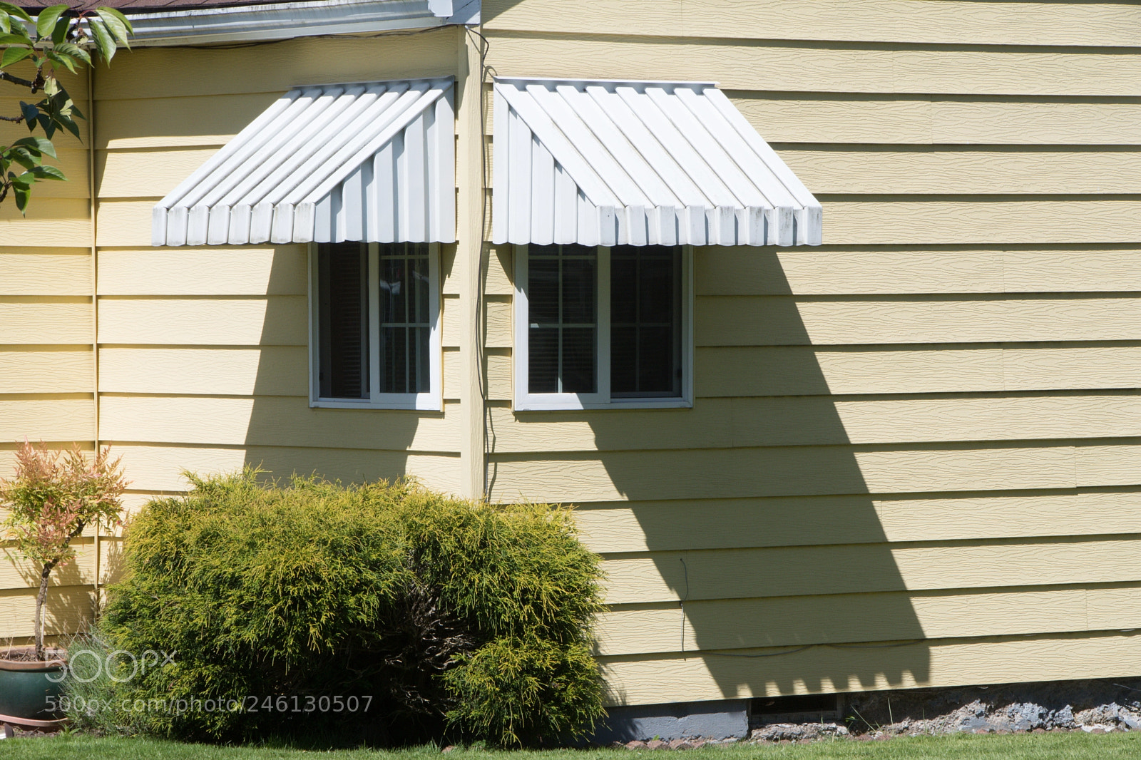 Nikon D500 sample photo. Windows photography