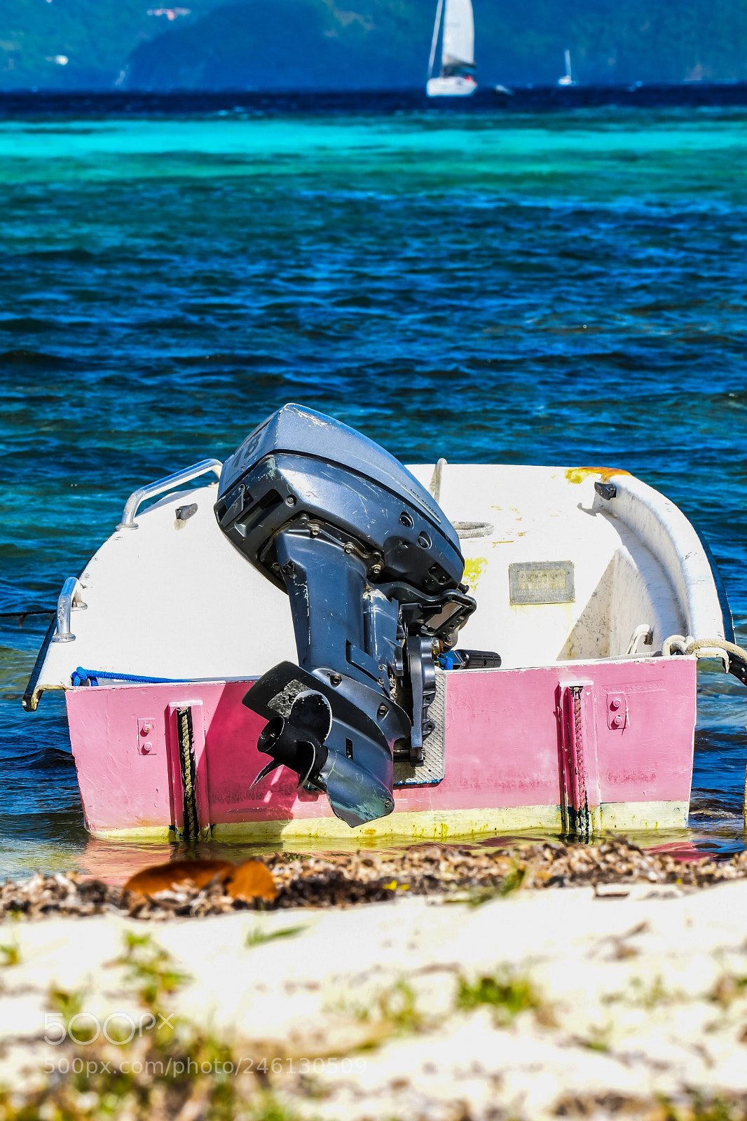 Nikon D500 sample photo. Pink dinghy photography