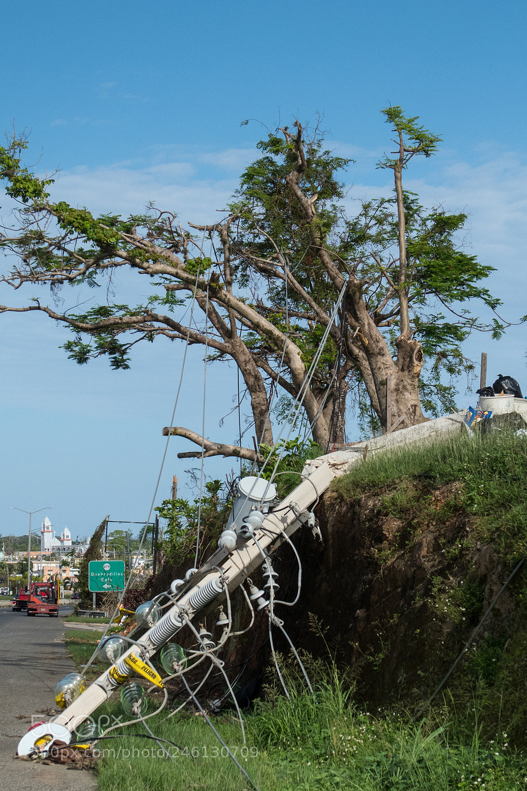 Nikon D500 sample photo. Hurricane maria damage in photography