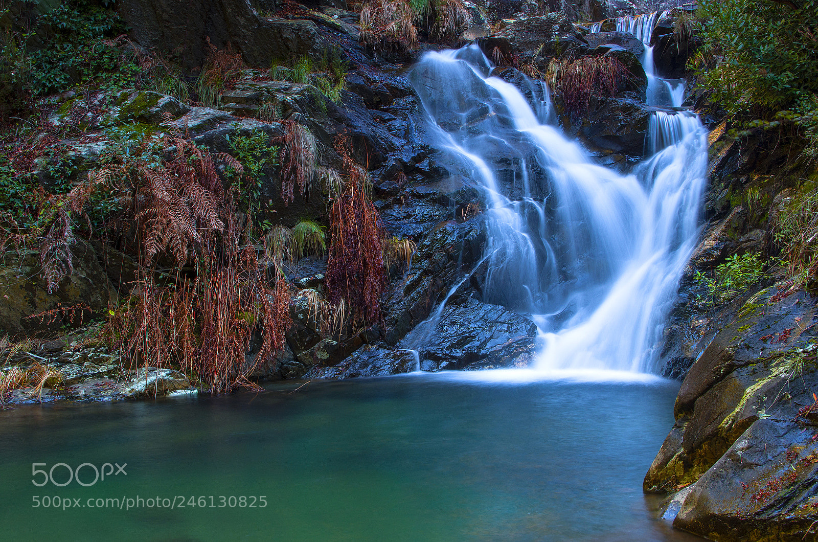 Pentax K-50 sample photo. Crystal clear water photography