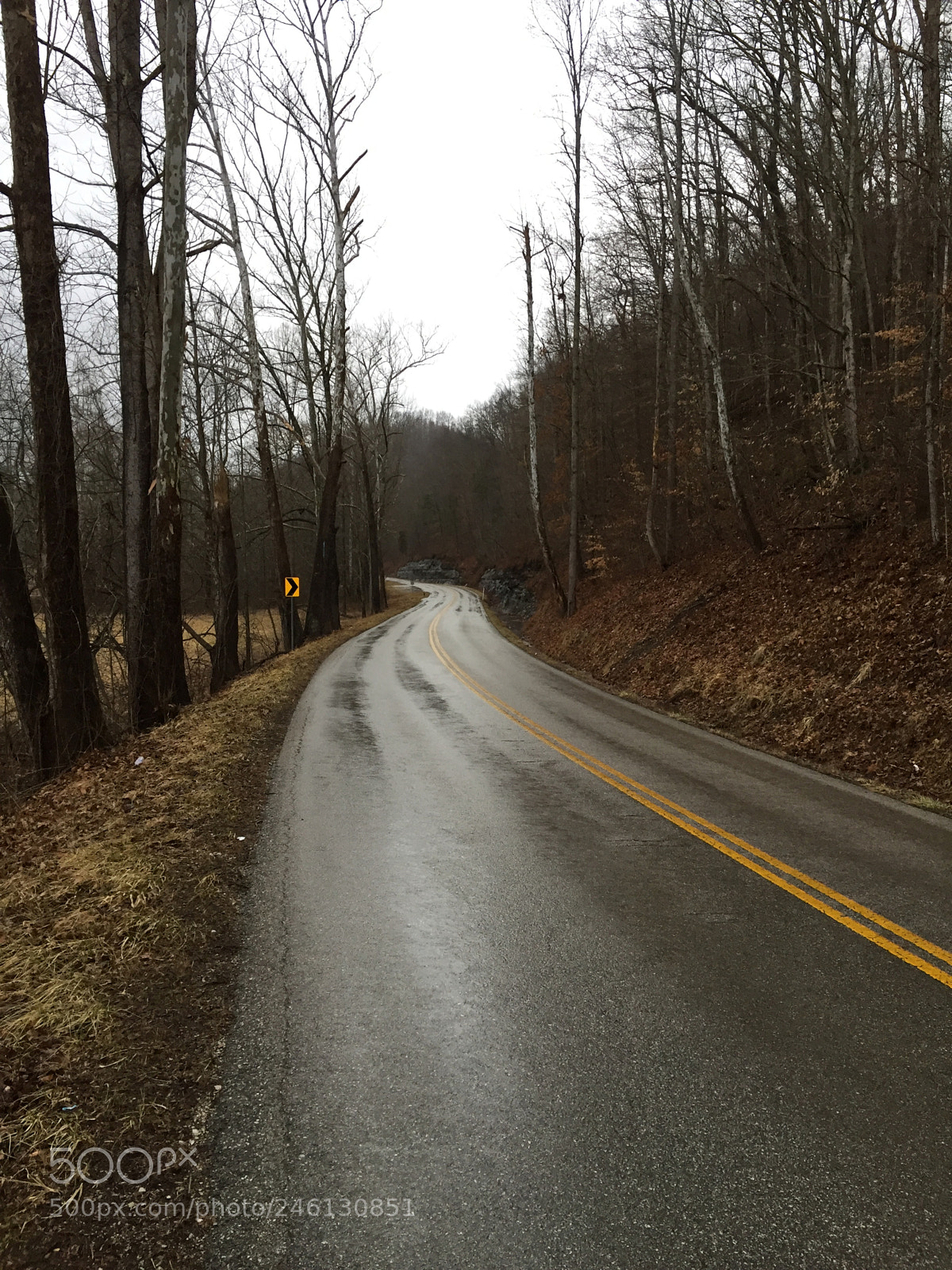 Apple iPhone 6 sample photo. Walking in the rain photography