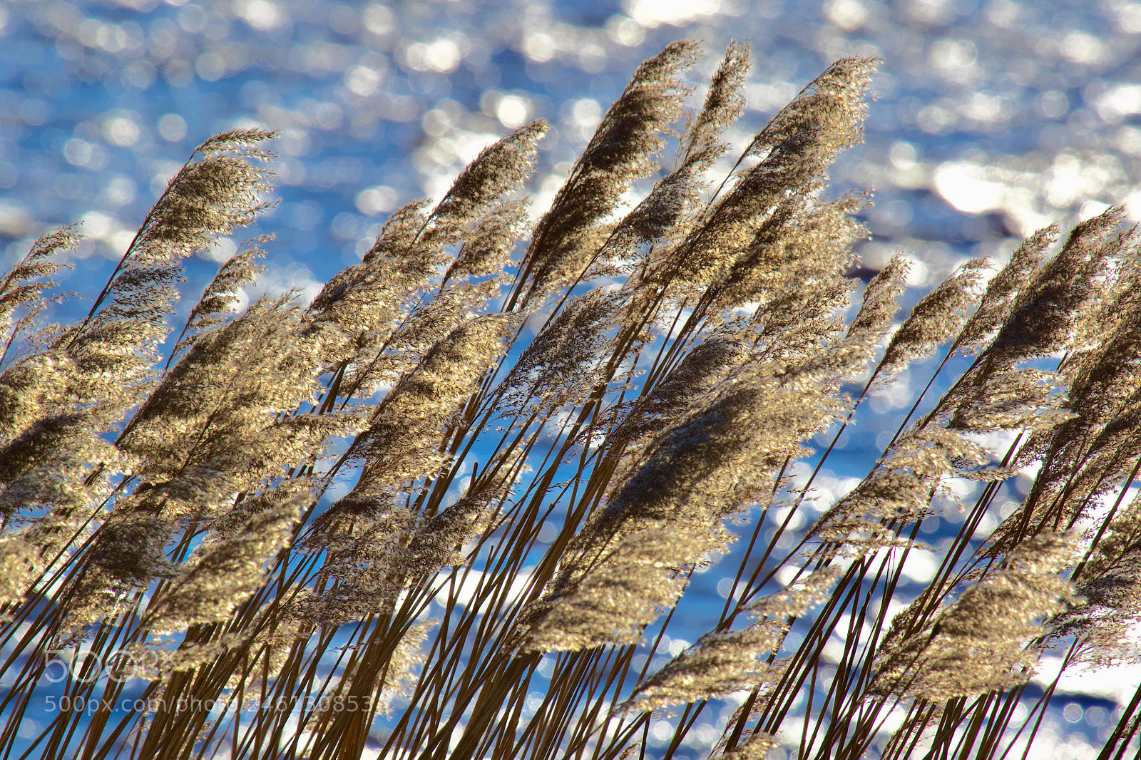 Canon EOS 7D Mark II sample photo. Wind, sun & water 2 photography